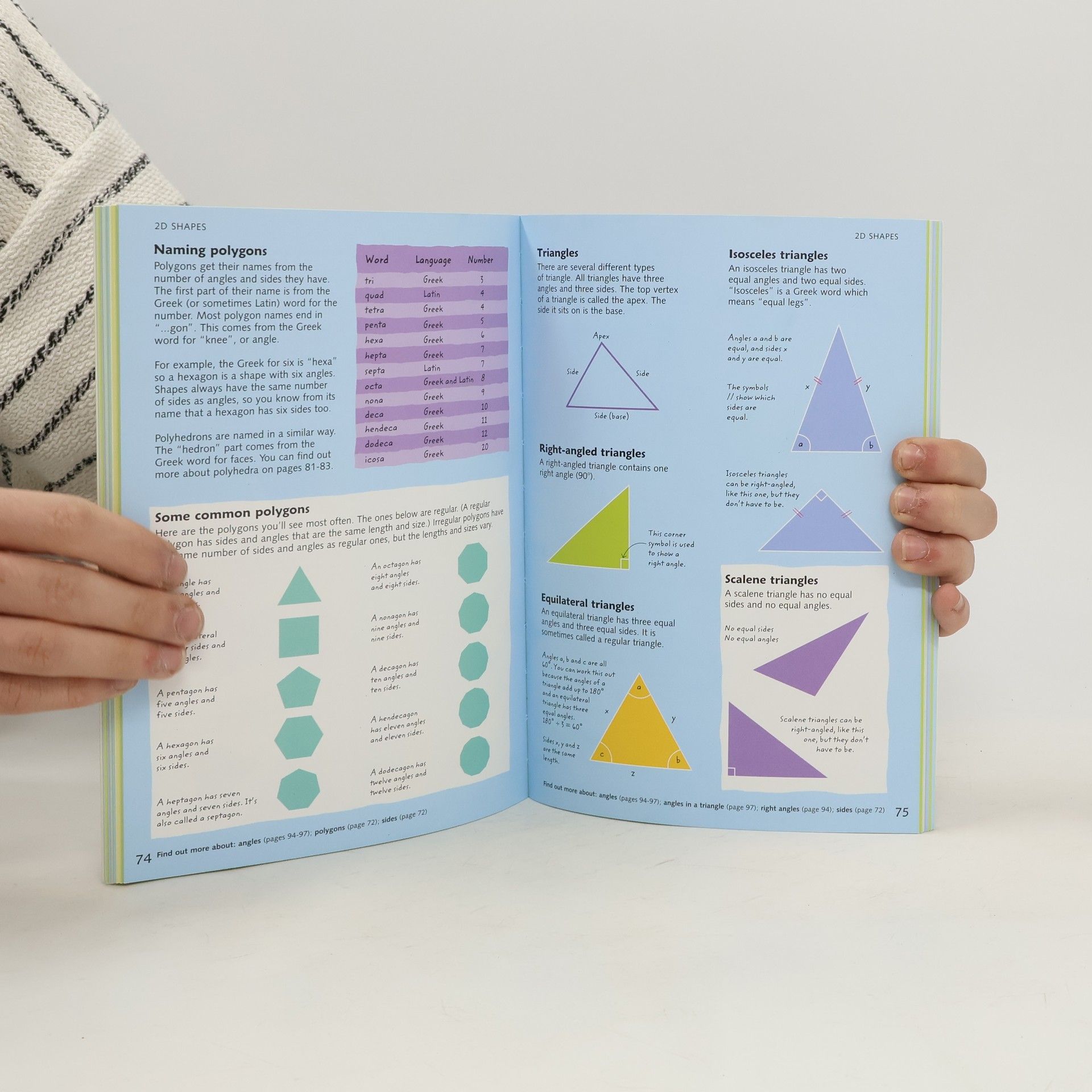 Autores varios Junior Illustrated Maths Dictionary