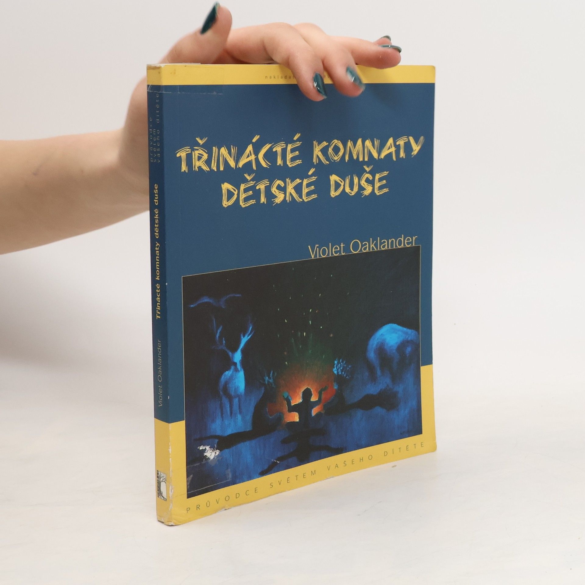 Violet Oaklander Třinácté komnaty dětské duše