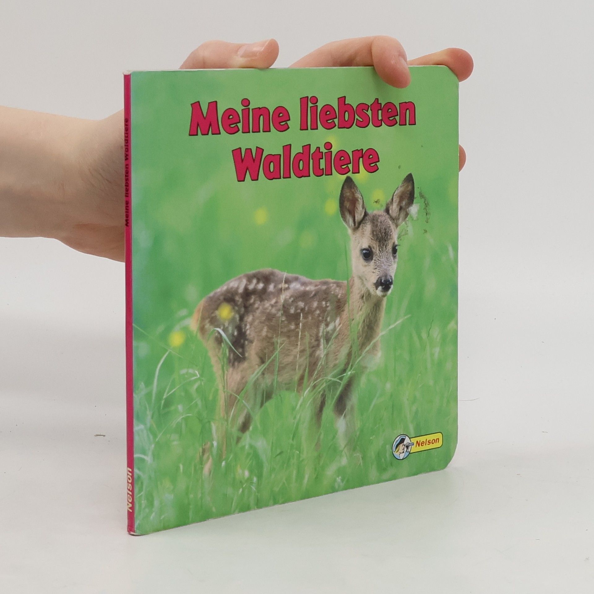 Oliver Giel Meine liebsten Waldtiere