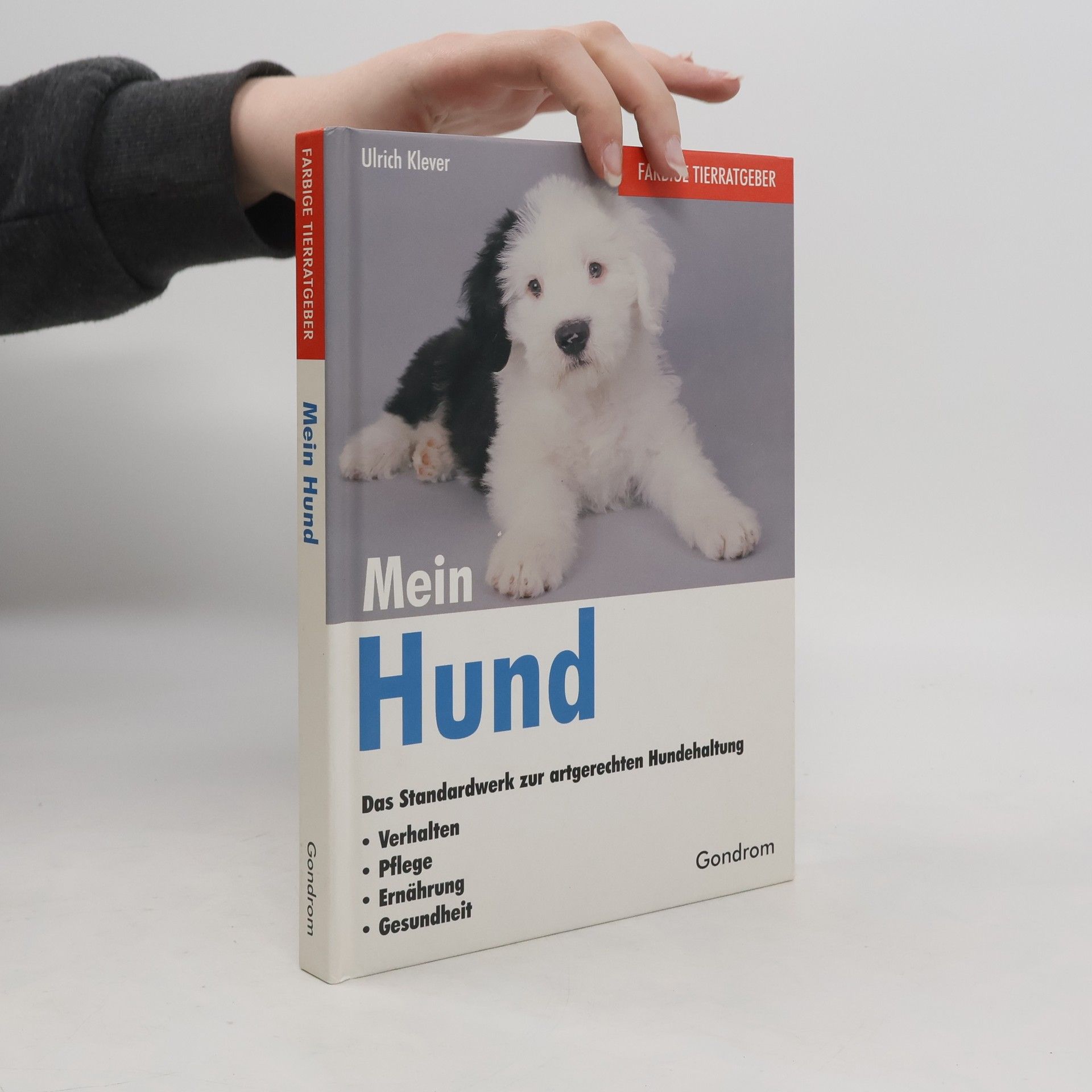 Ulrich Klever Mein Hund
