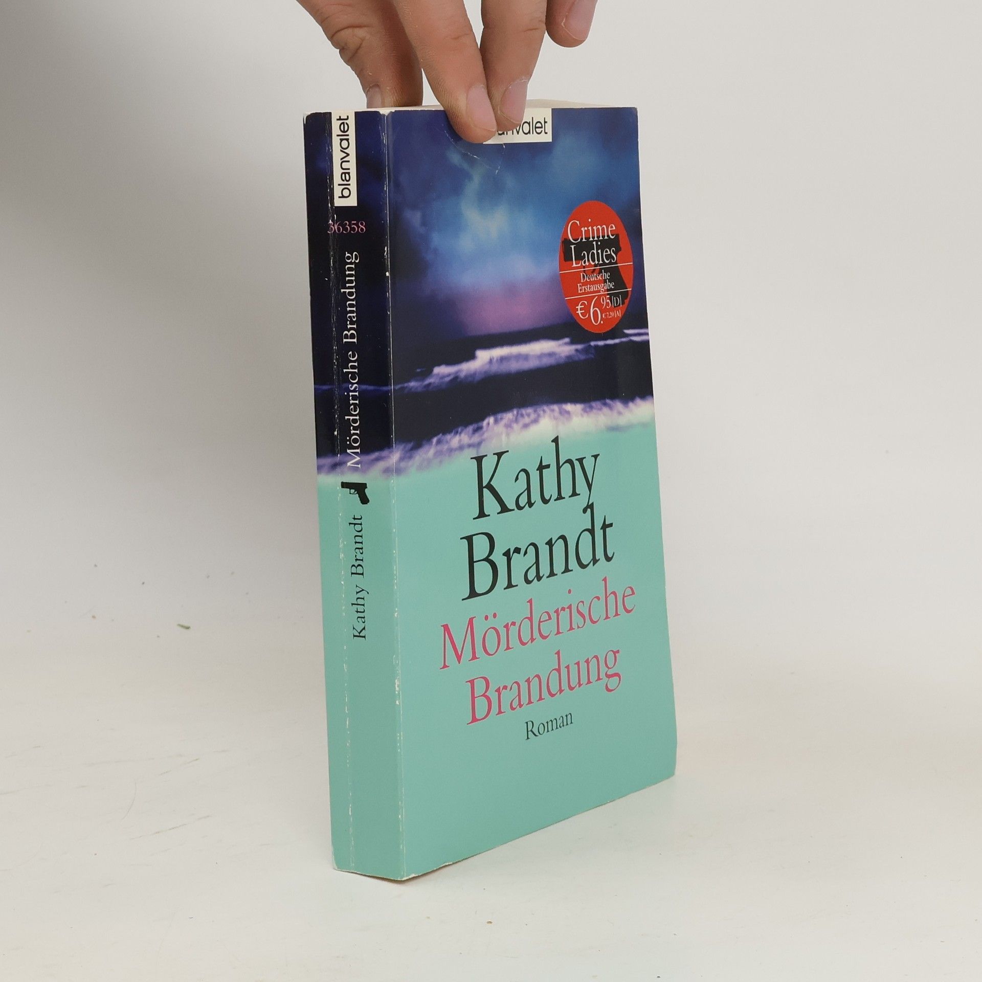 Kathy Brandt Mörderische Brandung