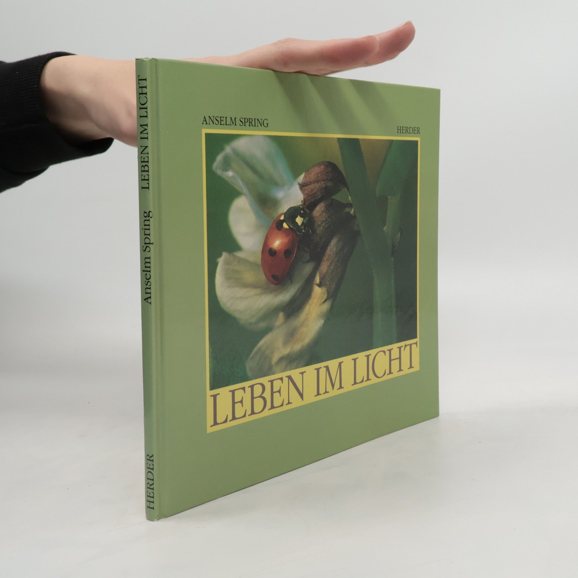 Anselm Spring Leben im Licht