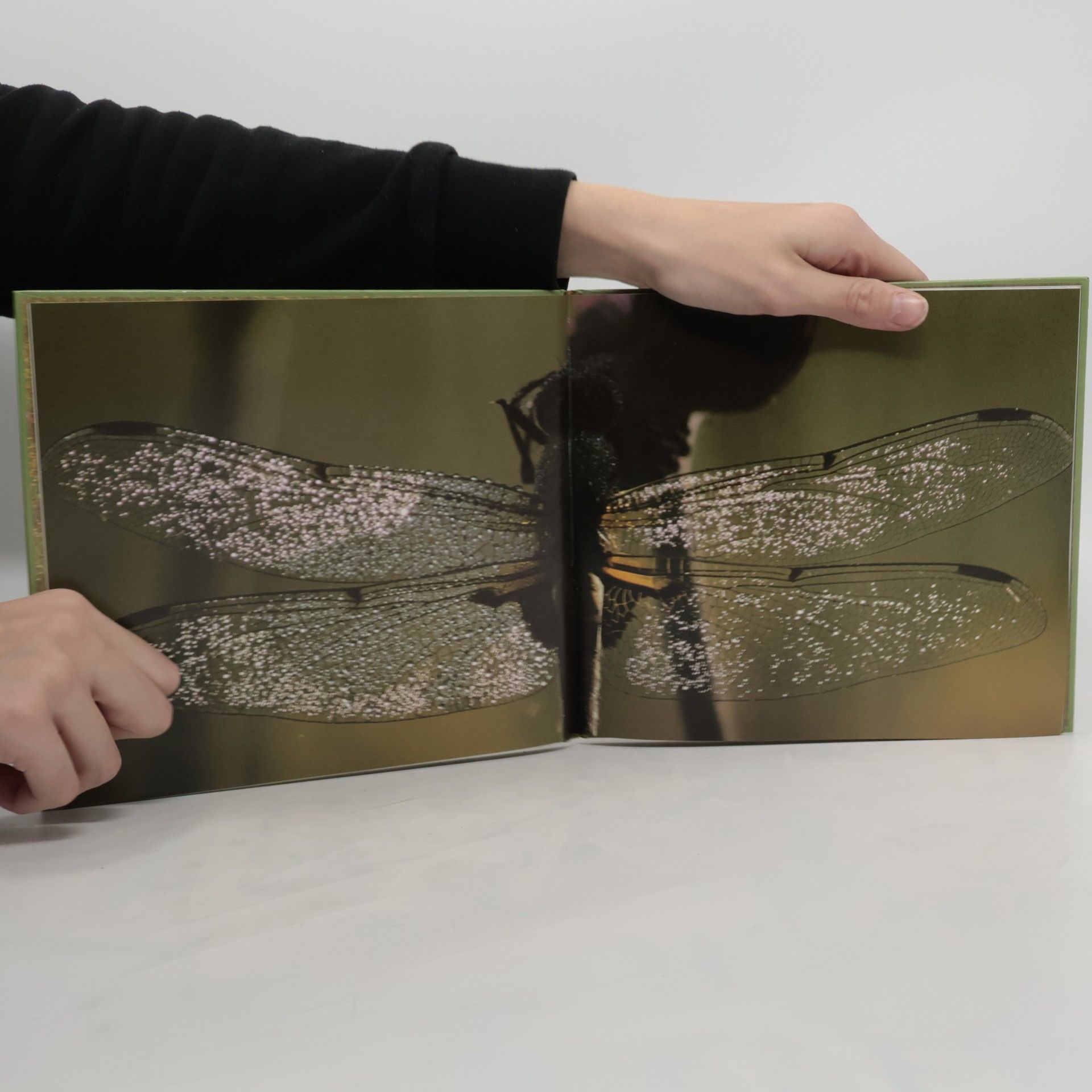 Anselm Spring Leben im Licht
