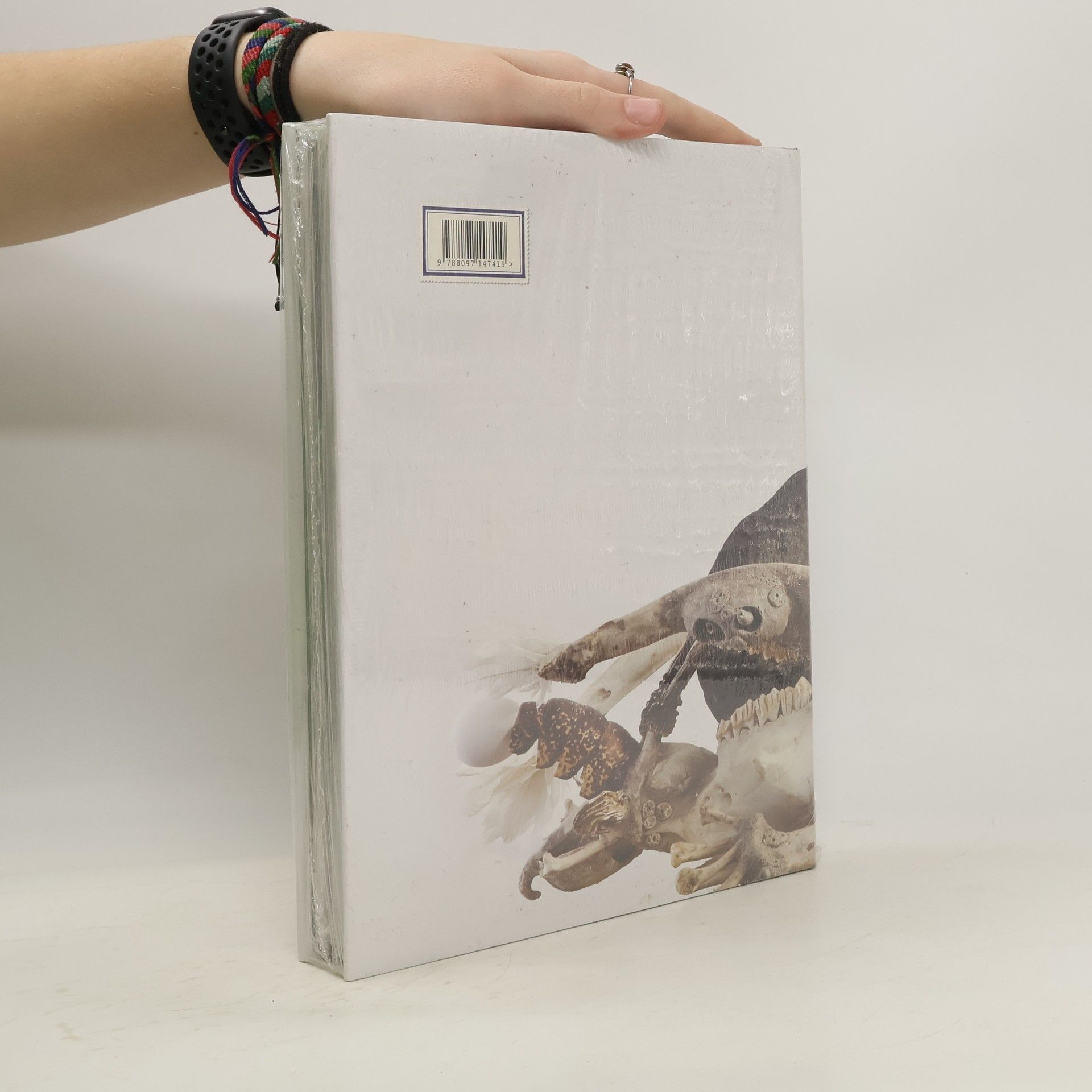 Ivan Melicherčík Kabinet Jana Švankmajera / (Cabinet of Jan Svankmajer)