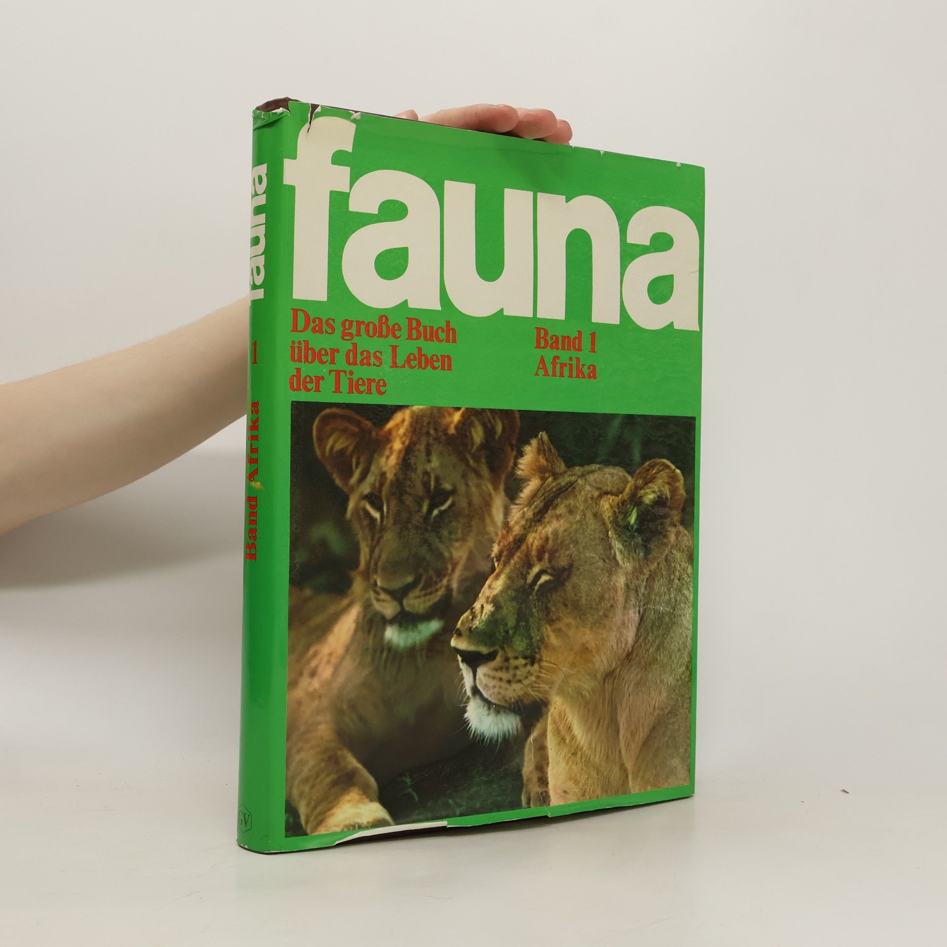 Collectif d'auteurs Fauna 1. Afrika
