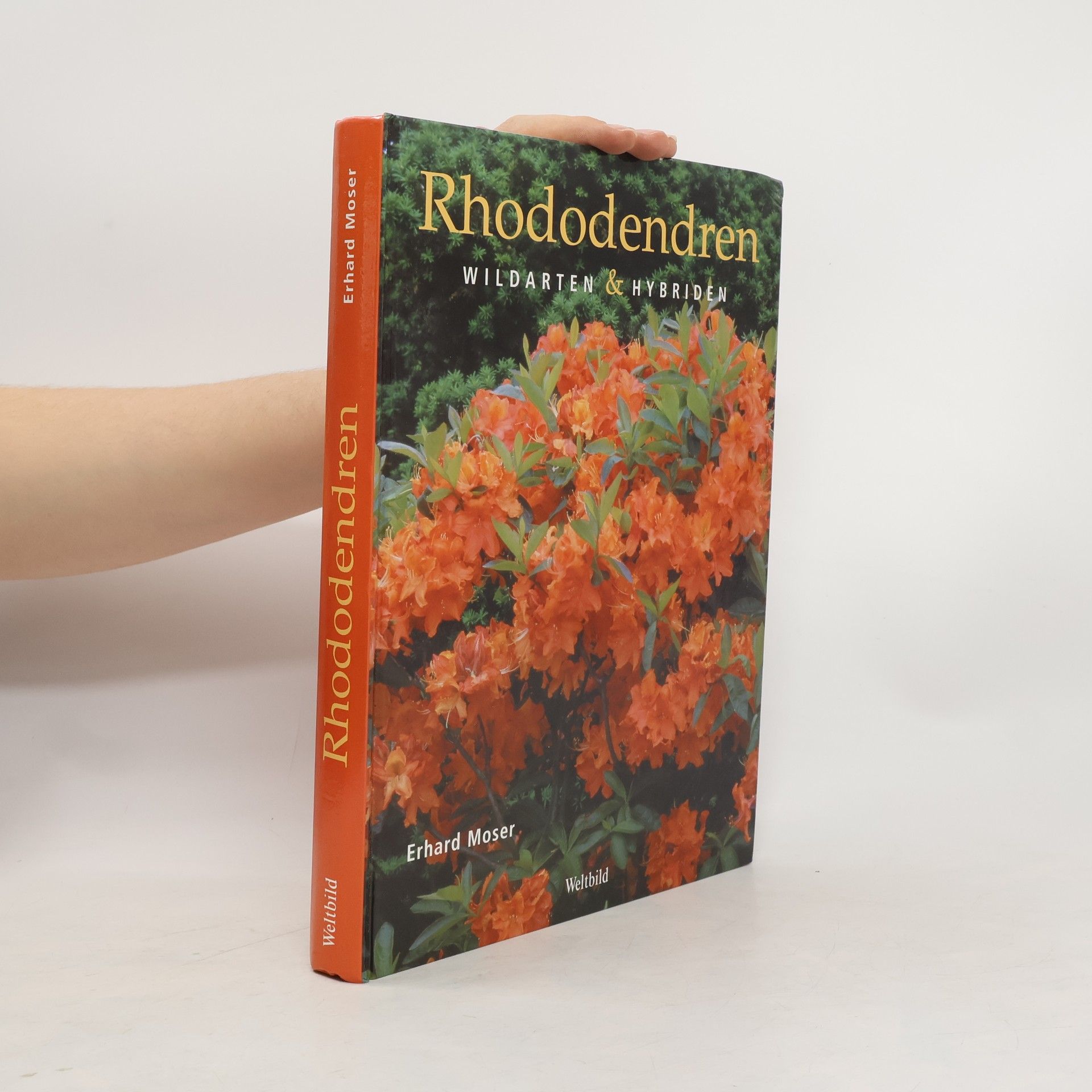 Erhard Moser Rhododendren