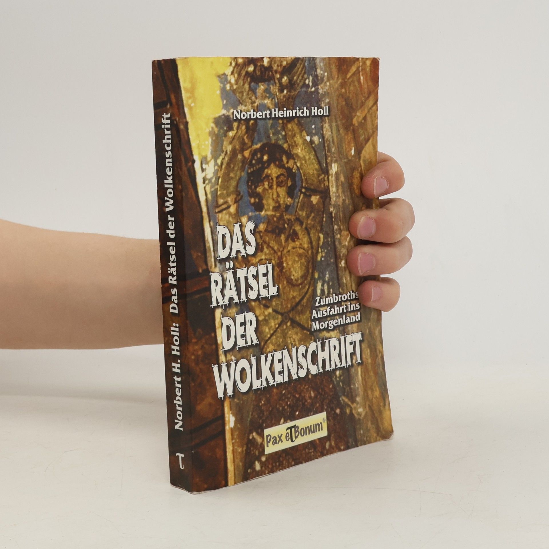 Norbert Heinrich Holl Das Rätsel der Wolkenschrift