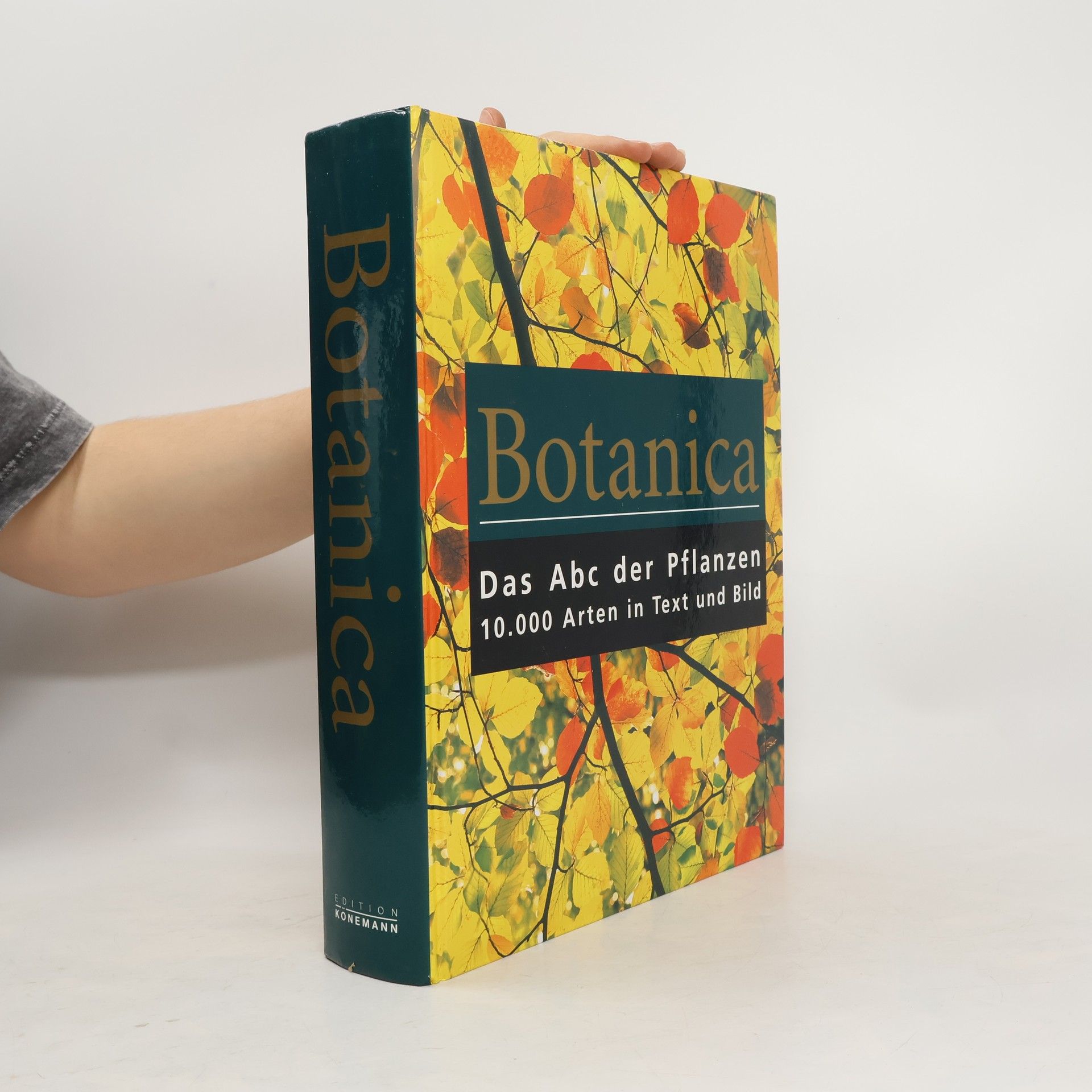 Gordon Cheers Botanica