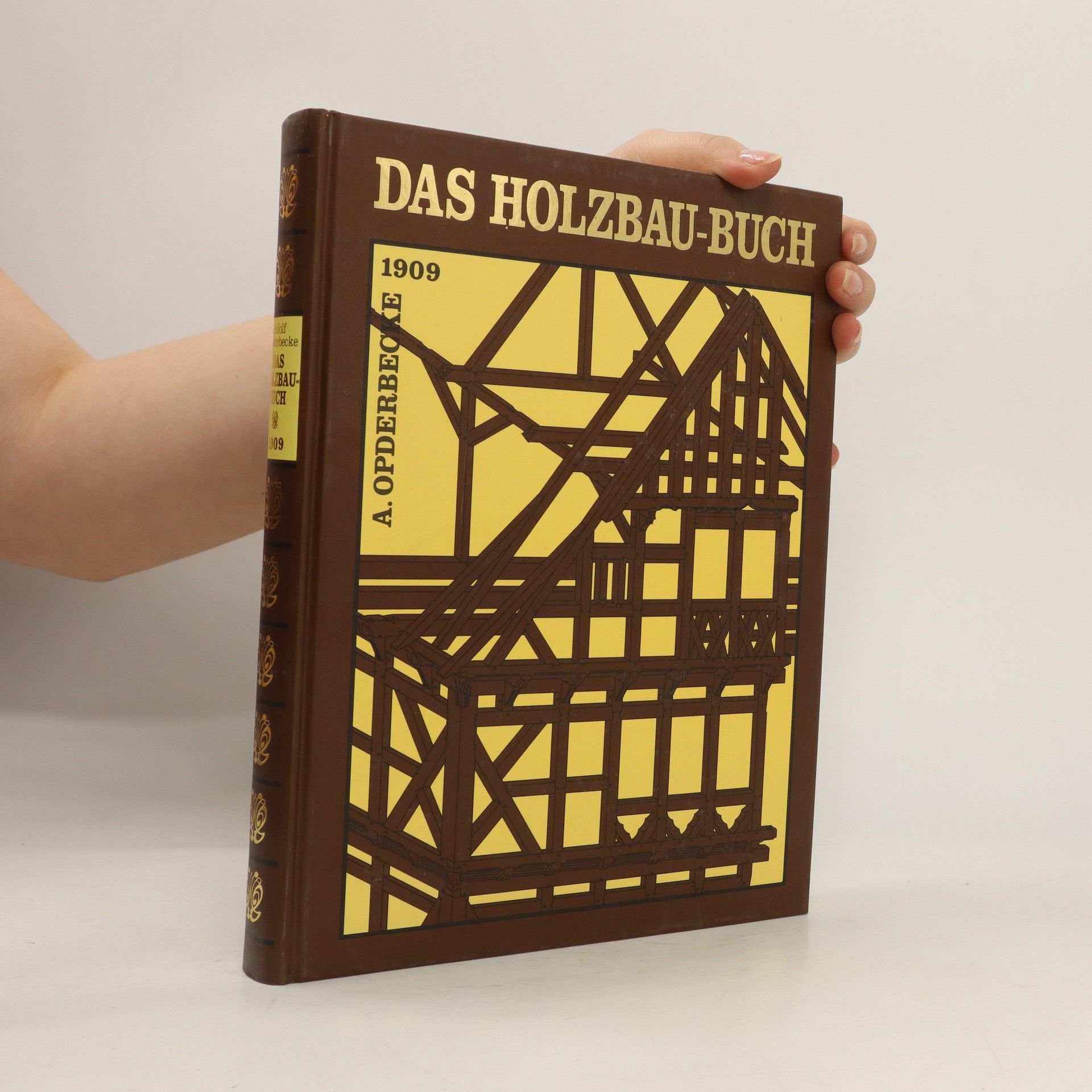 Auteurscollectief Das Holzbau-Buch