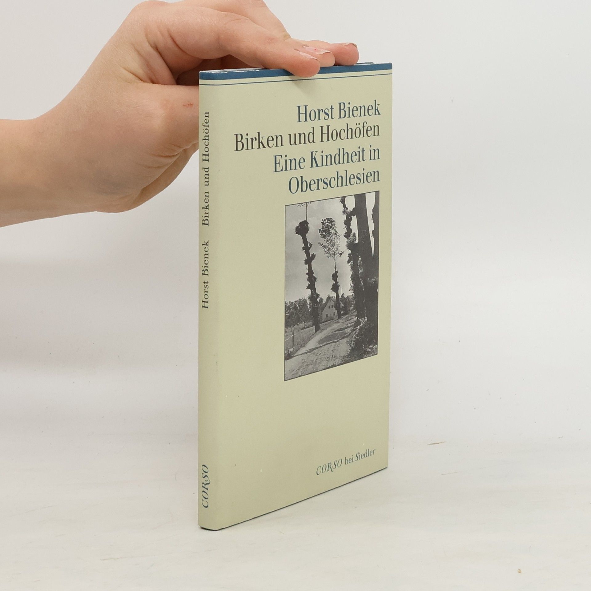 Horst Bienek Birken und Hochöfen