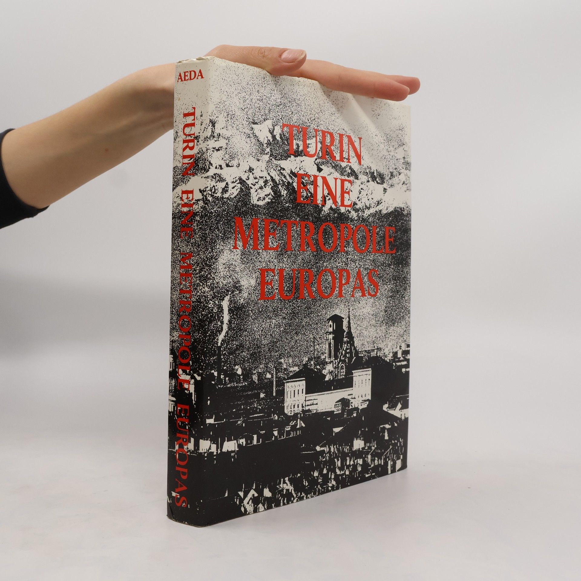 Autorenkollektiv Turin, eine Metropole Europas