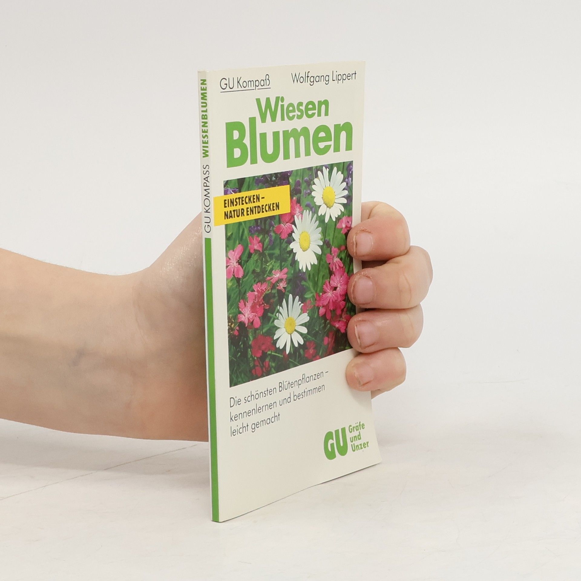 Wolfgang Lippert Wiesen-Blumen