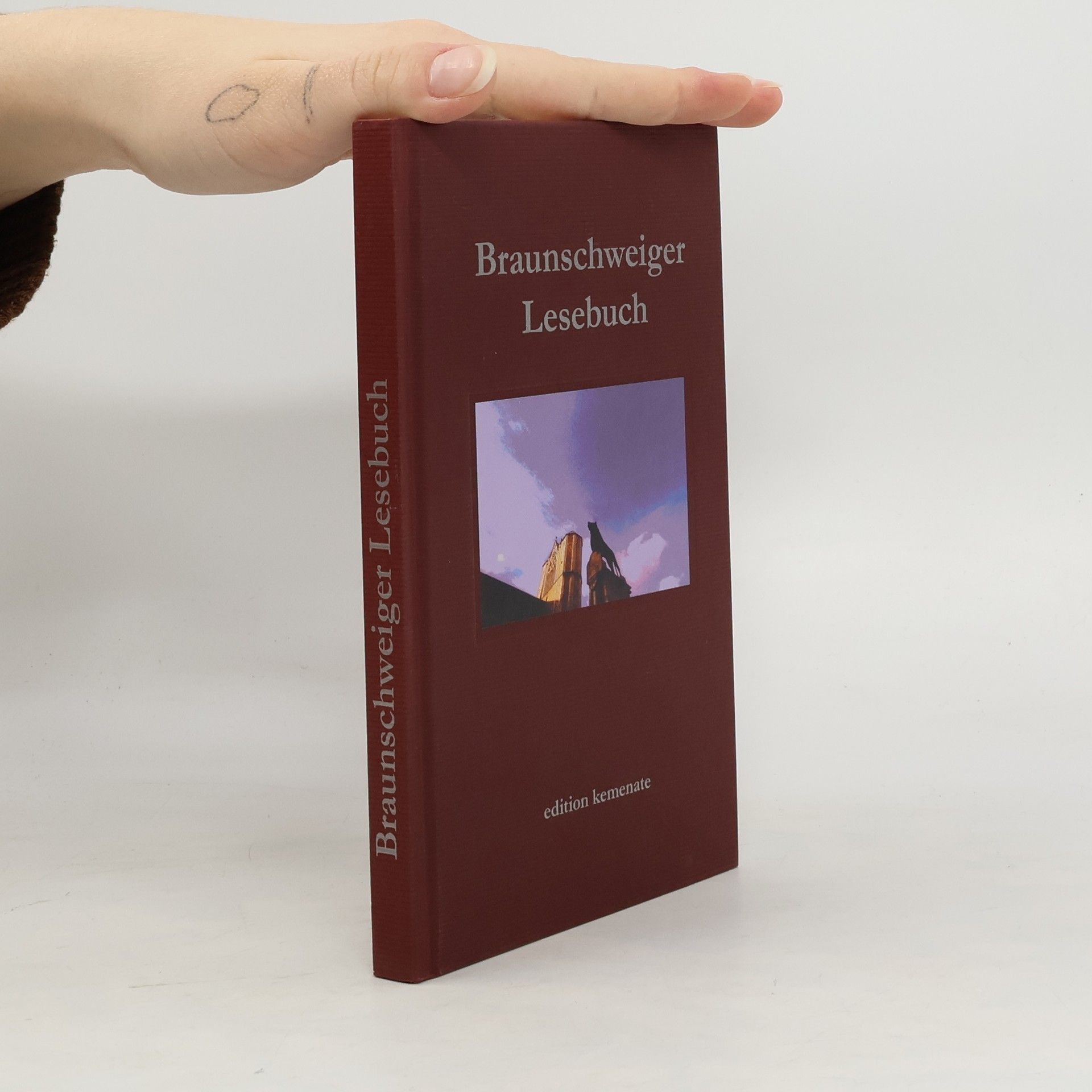 Collectif d'auteurs Braunschweiger Lesebuch