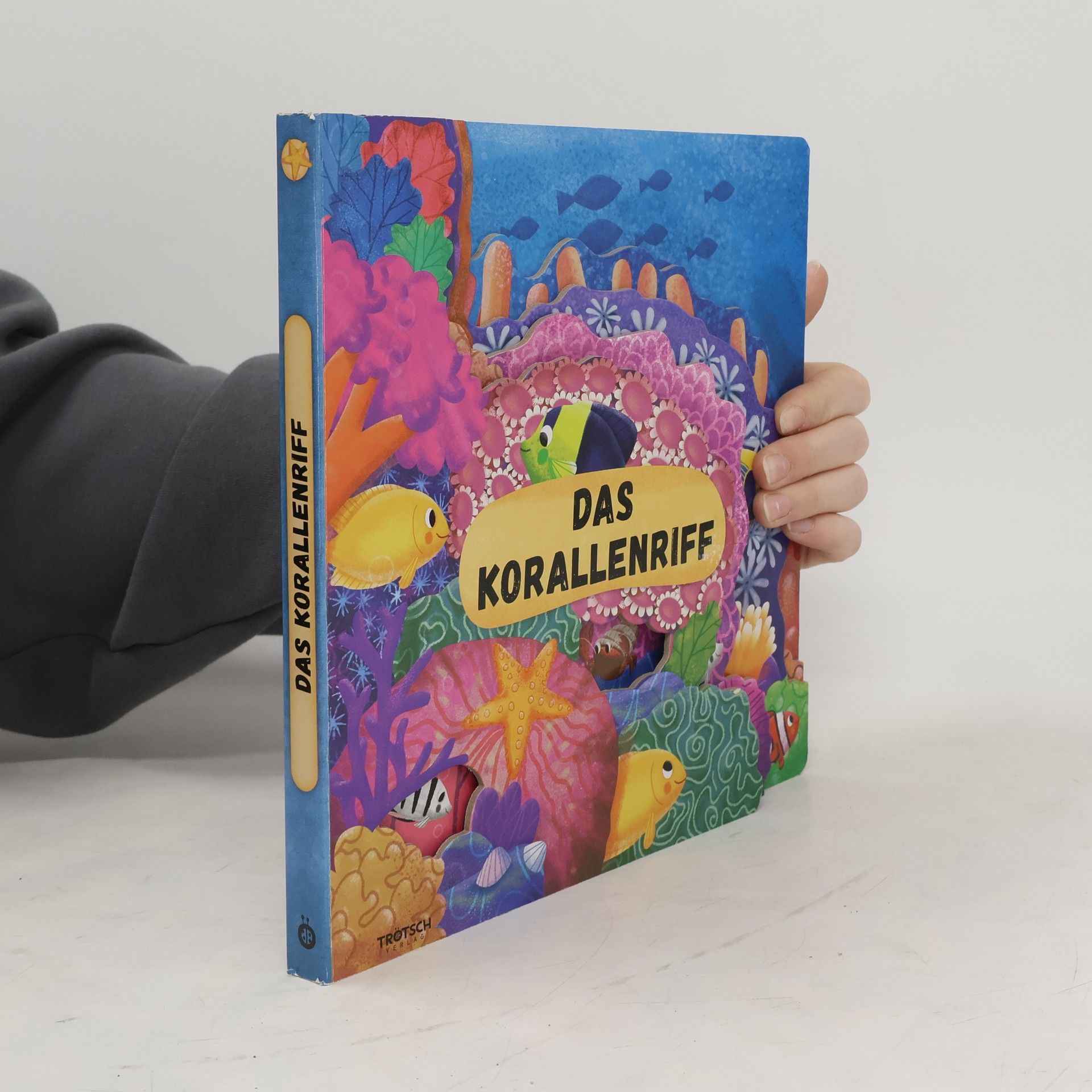 Trötsch Verlag Trötsch Fensterbuch Das Korallenriff