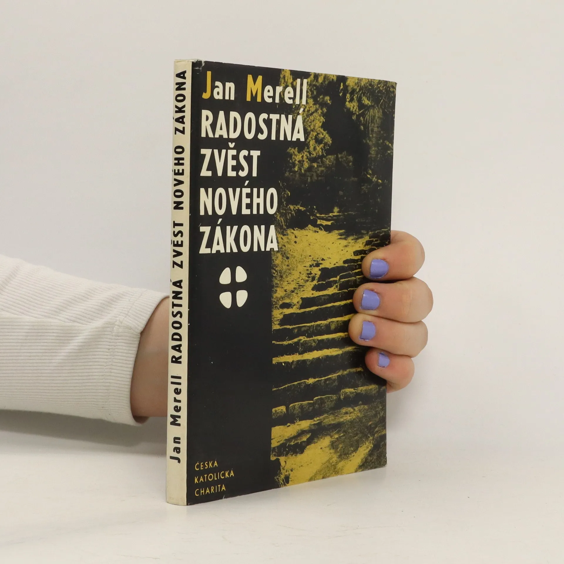 Radostná zvěst Nového zákona | Kniha | pevná | Jan Merell | CS