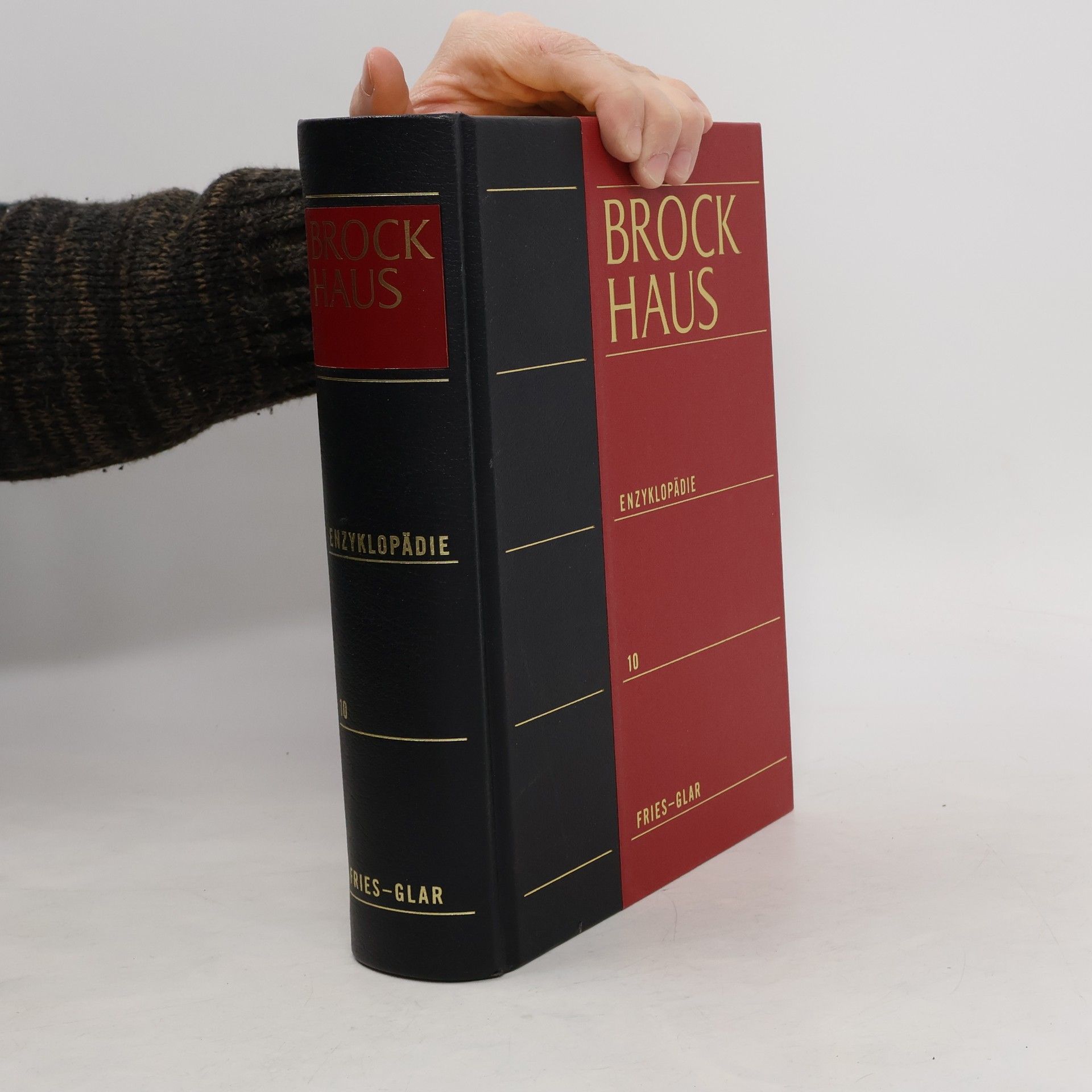 Autorenkollektiv Brockhaus-Enzyklopädie 10. Fries-Glar