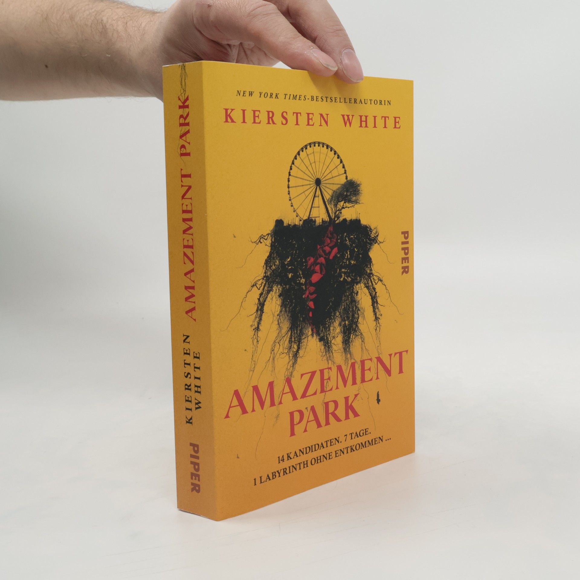 Kiersten White Amazement Park