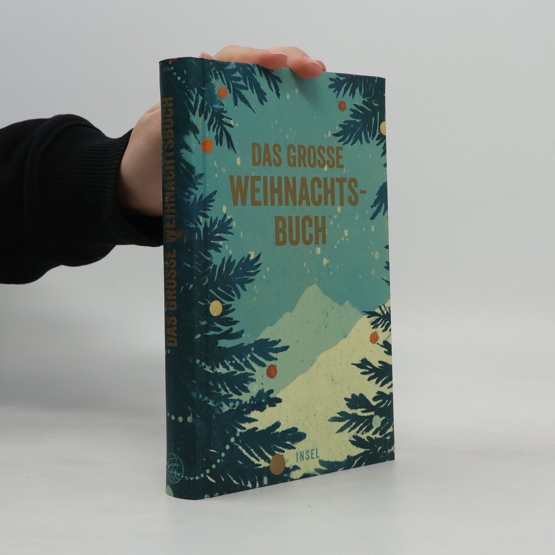 Gesine Dammel Das große Weihnachtsbuch