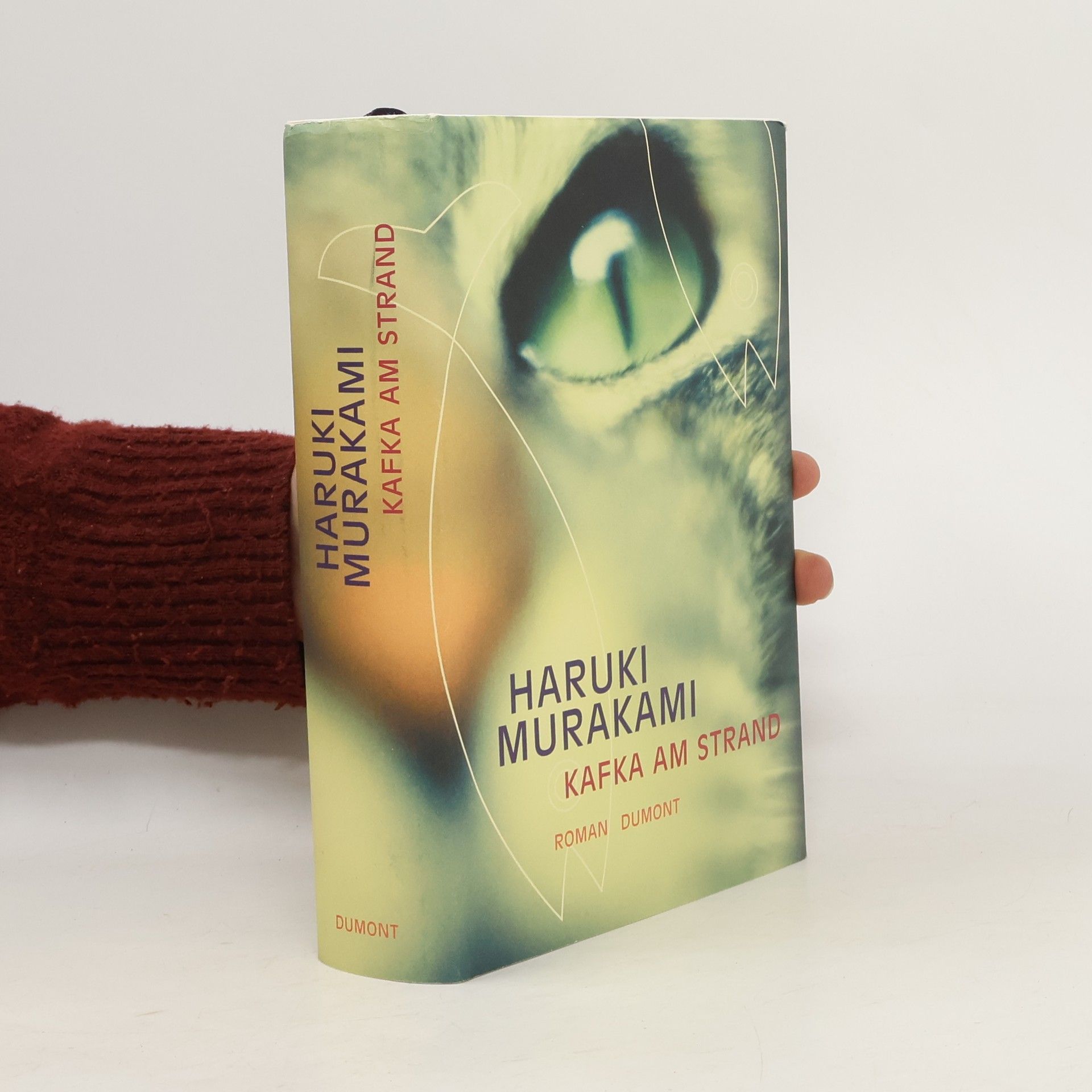 Haruki Murakami Kafka am Strand