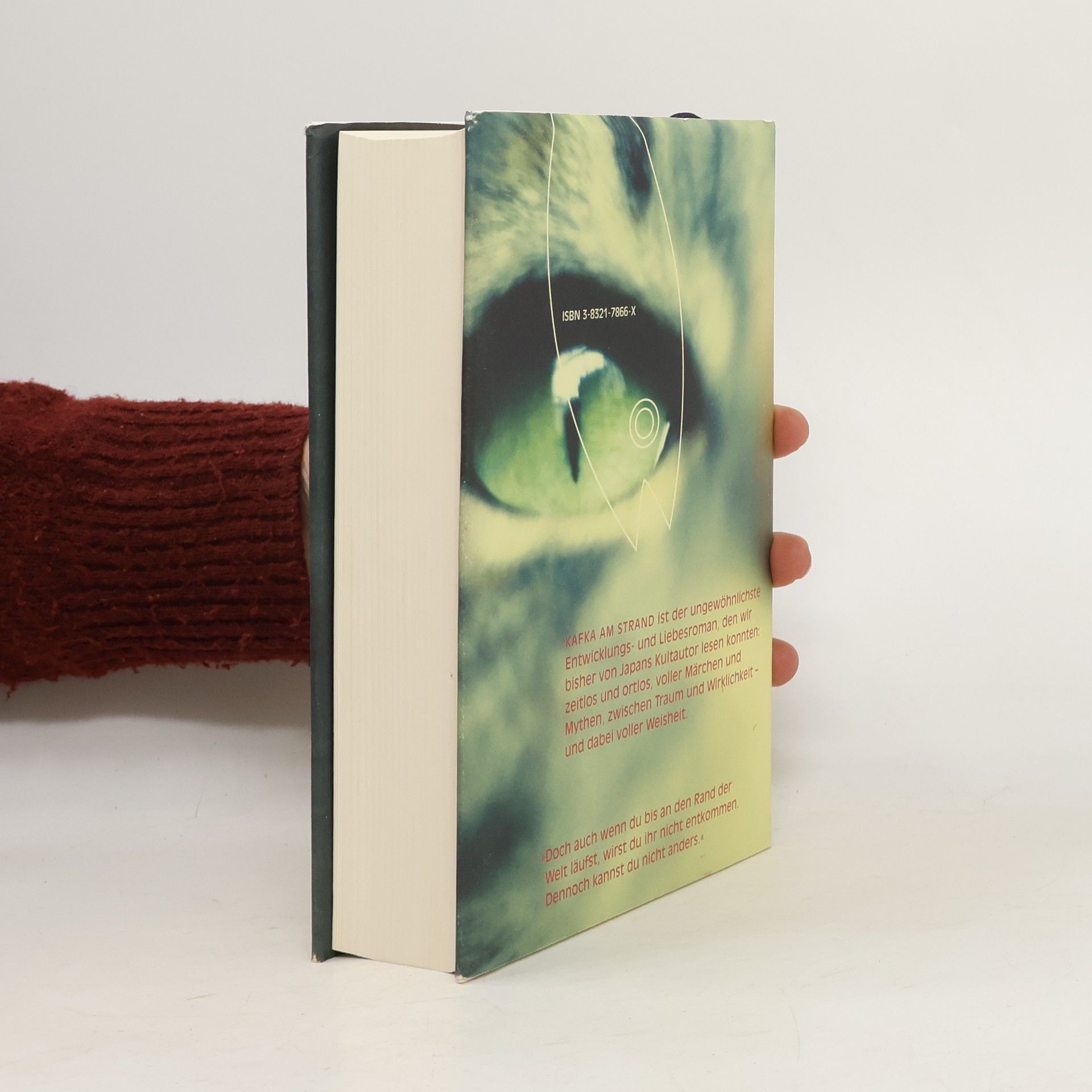 Haruki Murakami Kafka am Strand