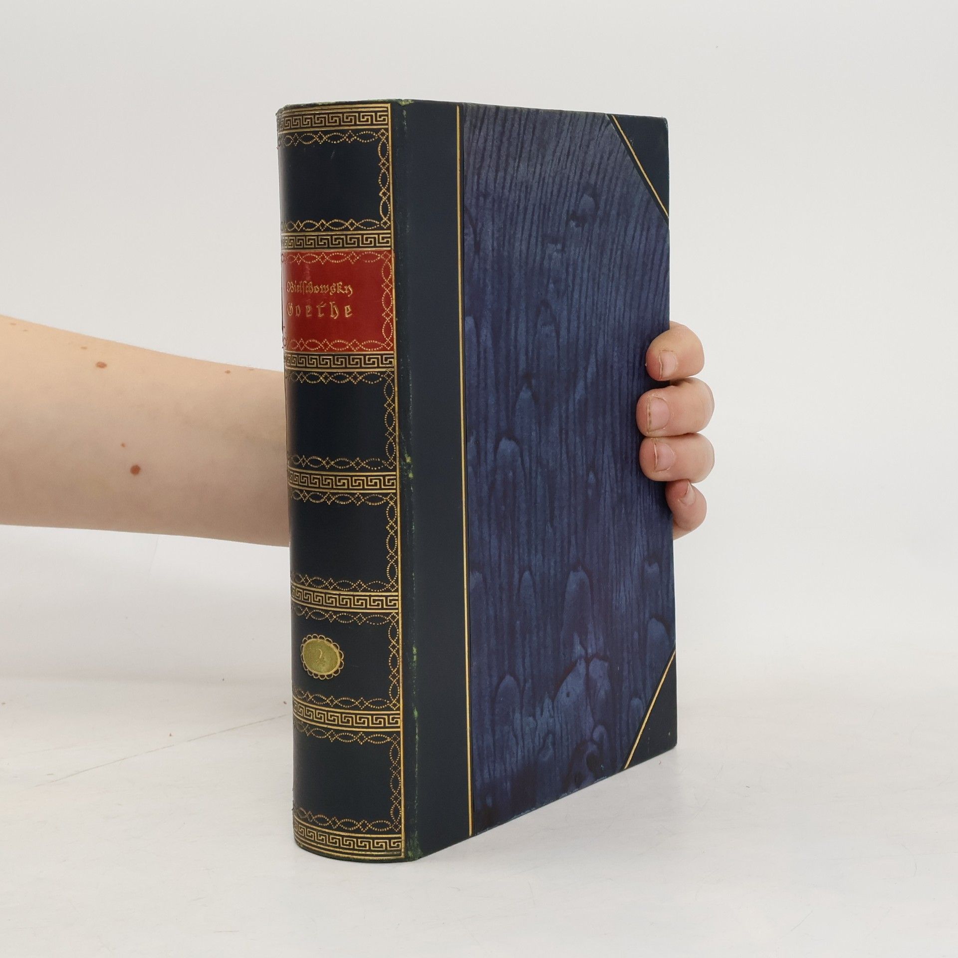 Albert Bielschowsky Goethe. Sein Leben und seine Werke 2