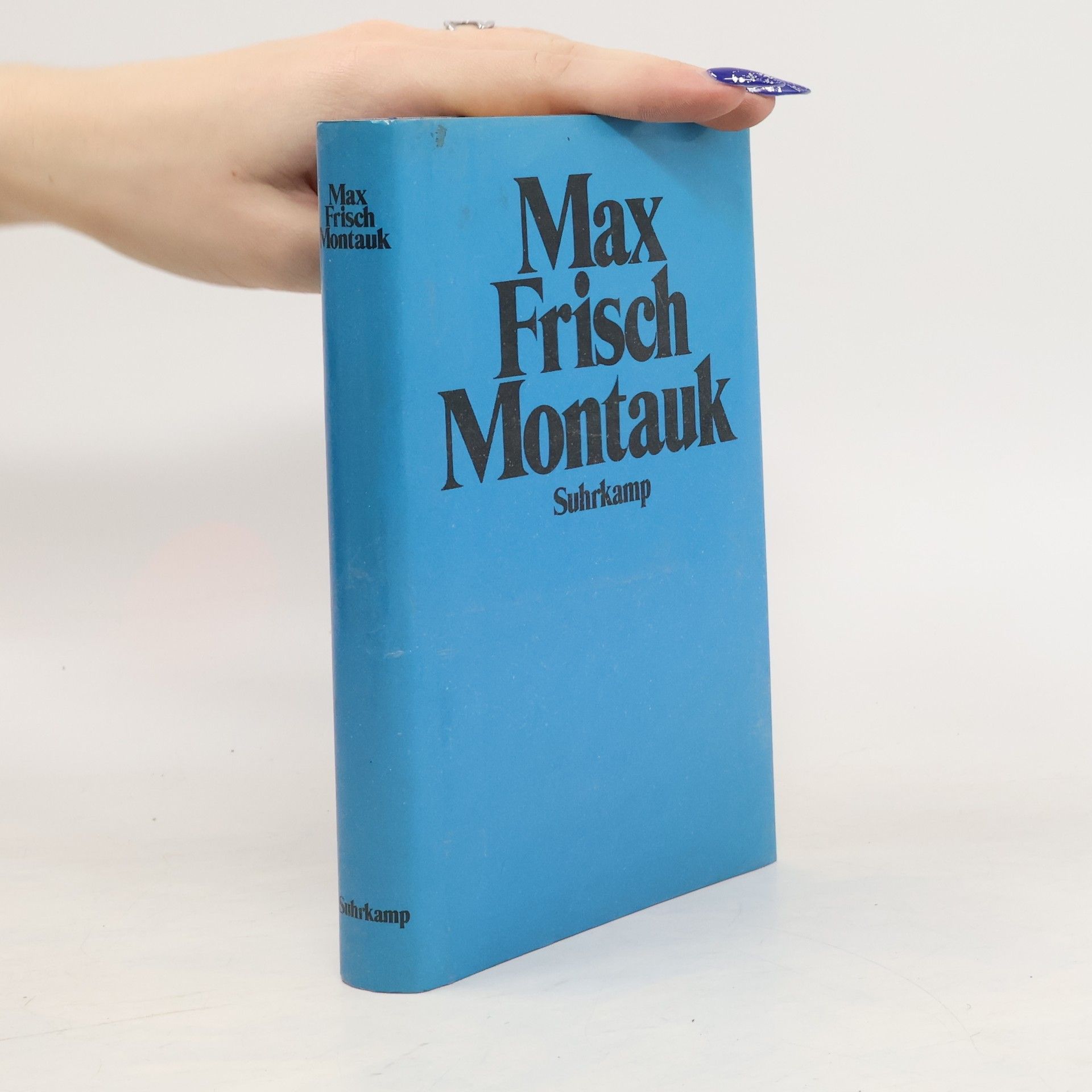 Max Frisch Montauk