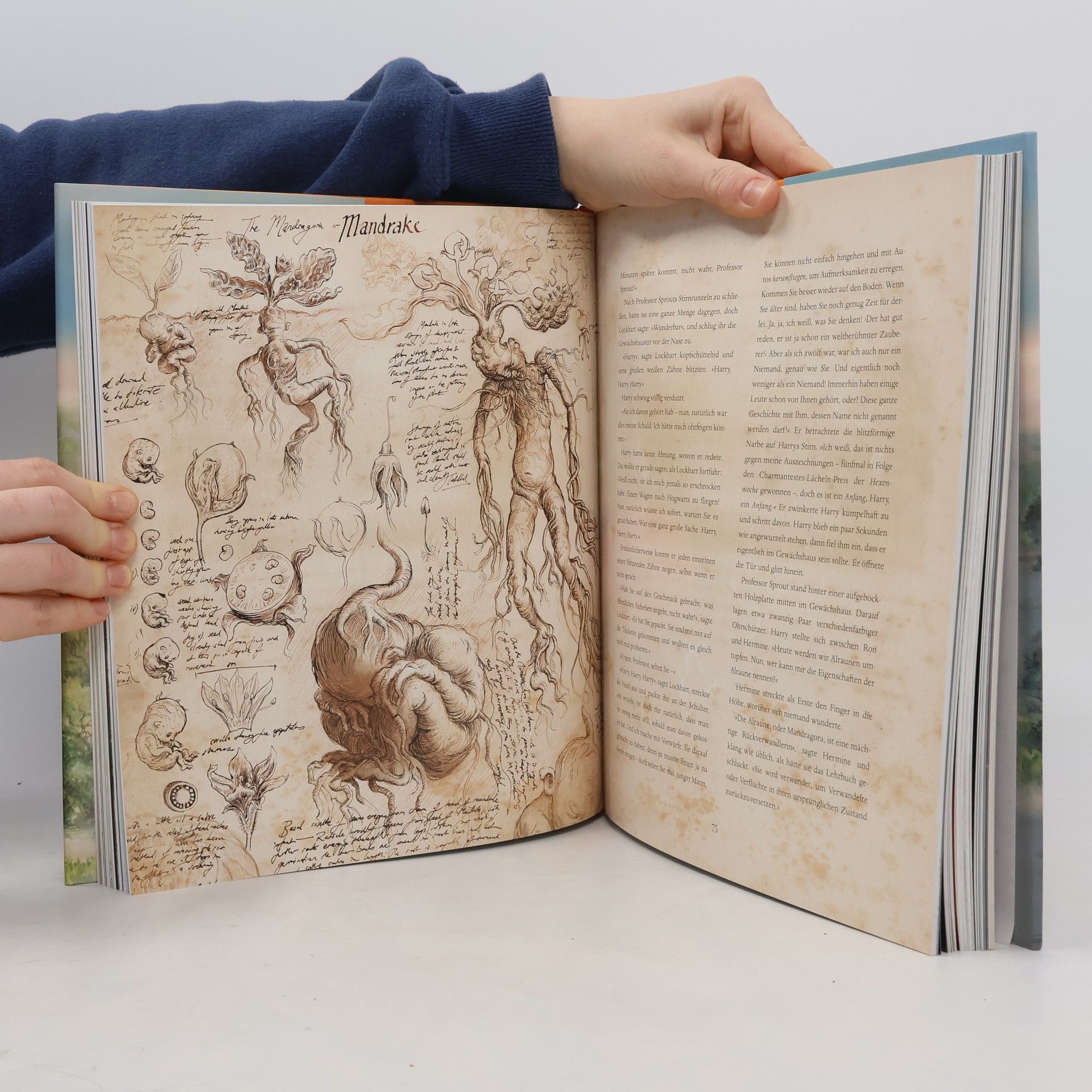 J. K. Rowling Harry Potter und die Kammer des Schreckens
