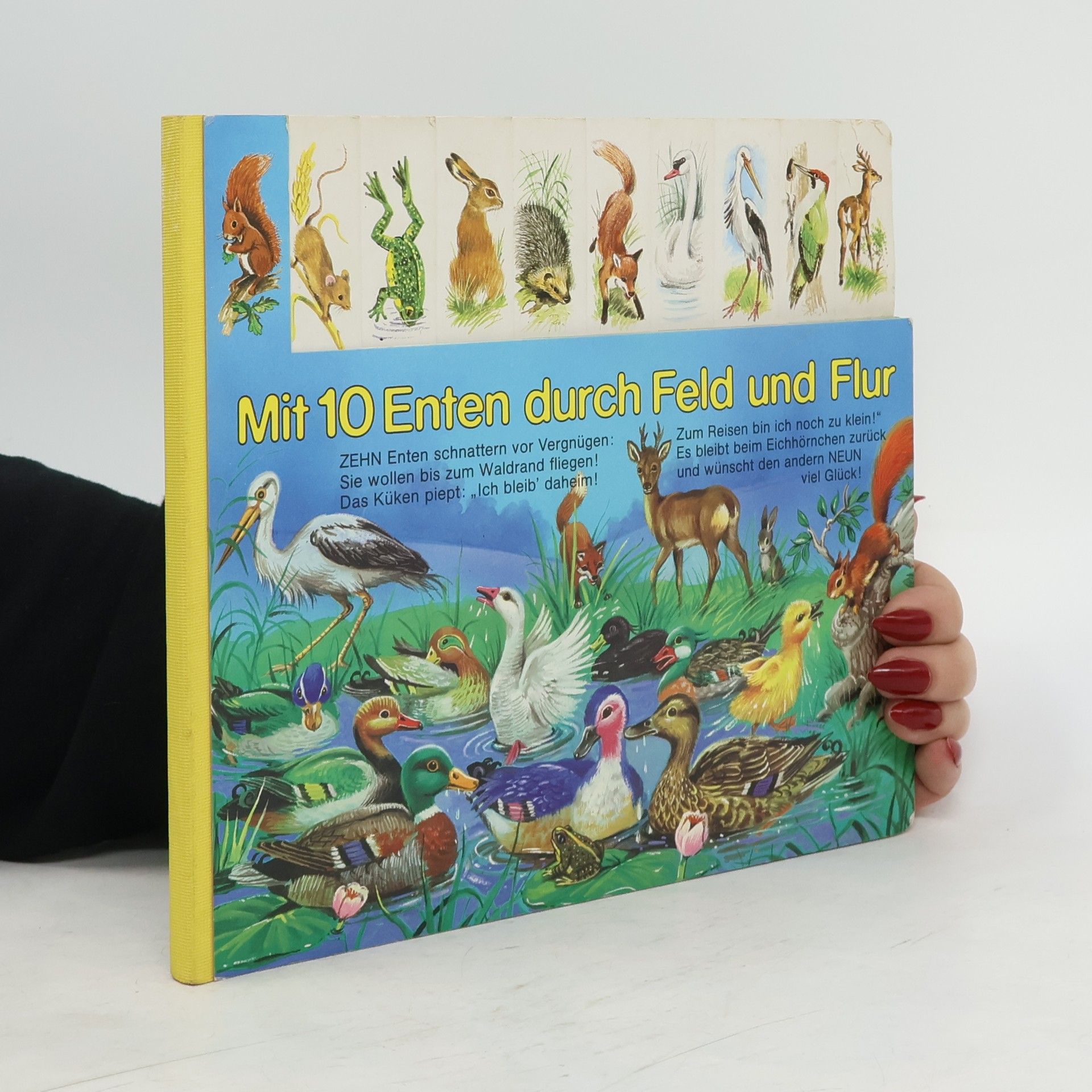 AA.VV. Mit 10 Enten durch Feld und Flur