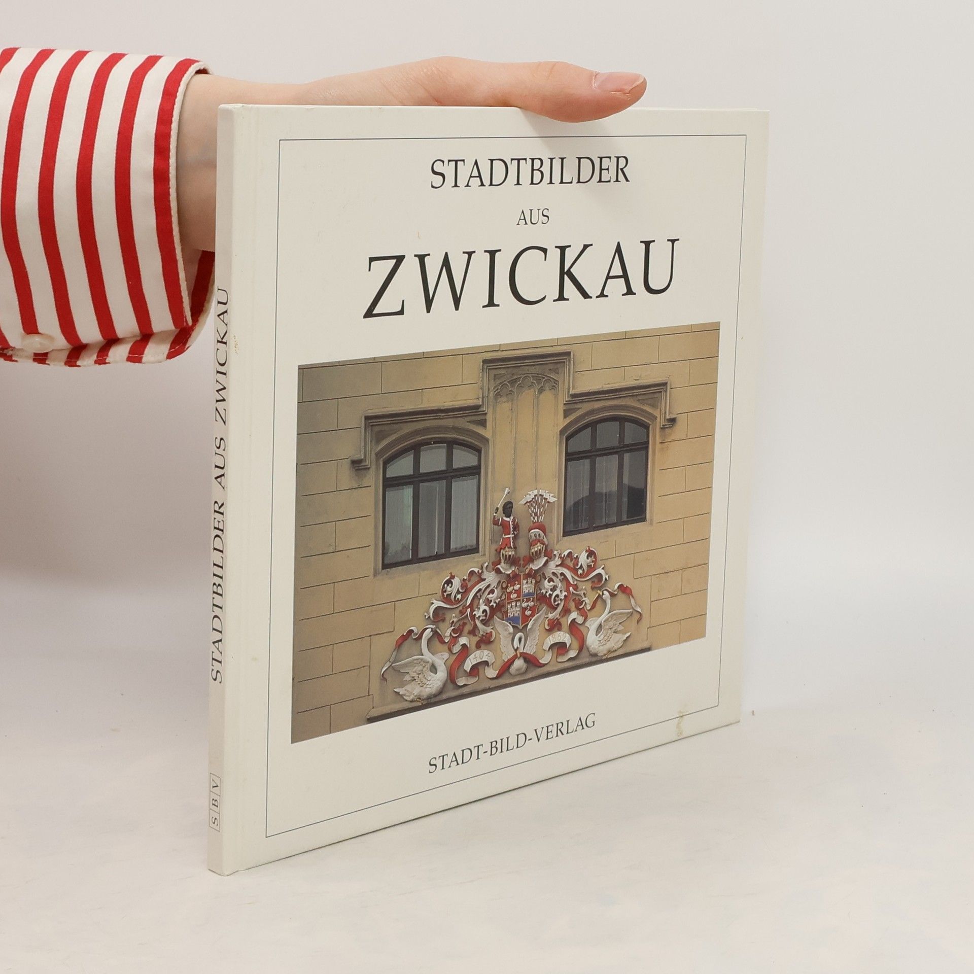 Collective Stadtbilder aus Zwickau
