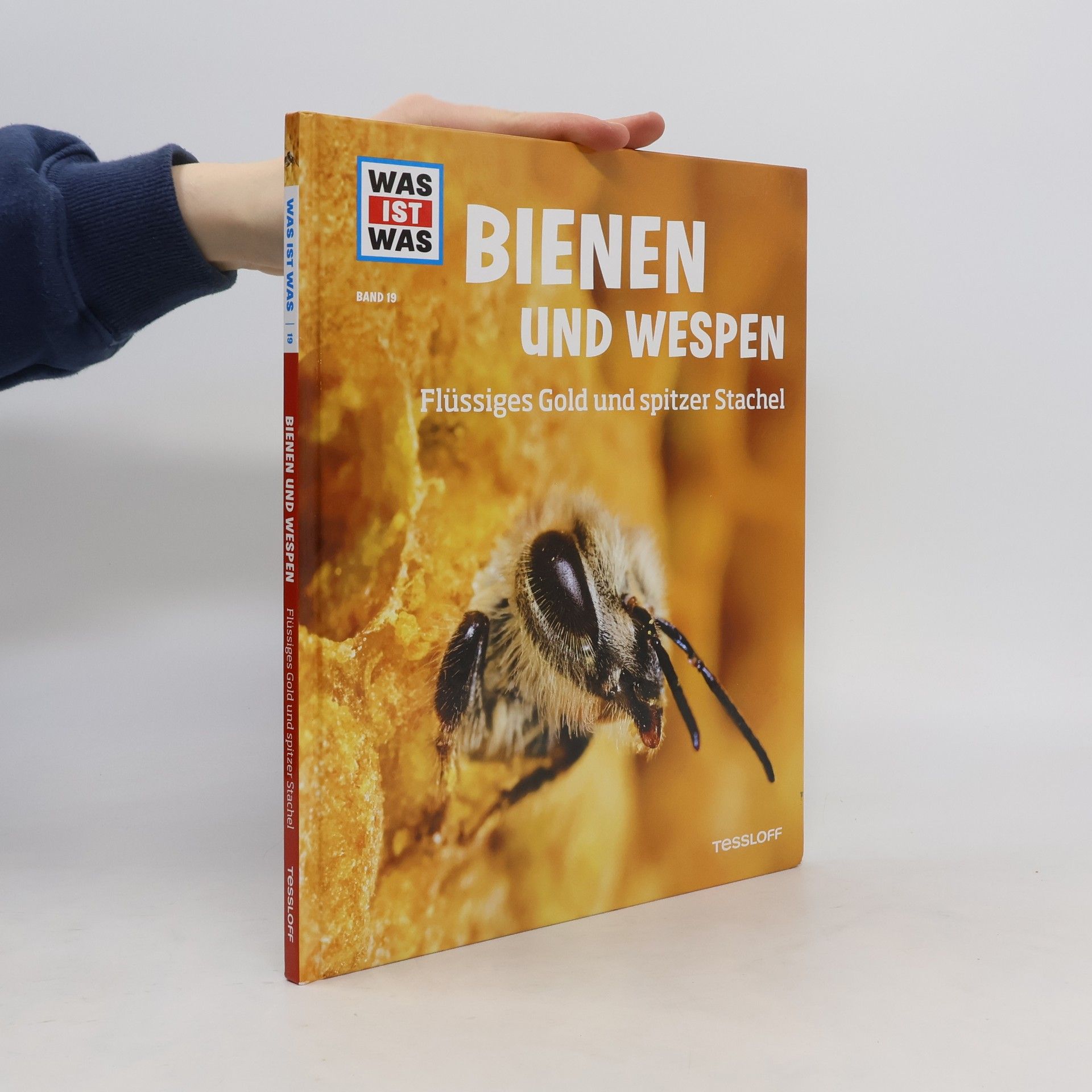 Alexandra Rigos Bienen und Wespen