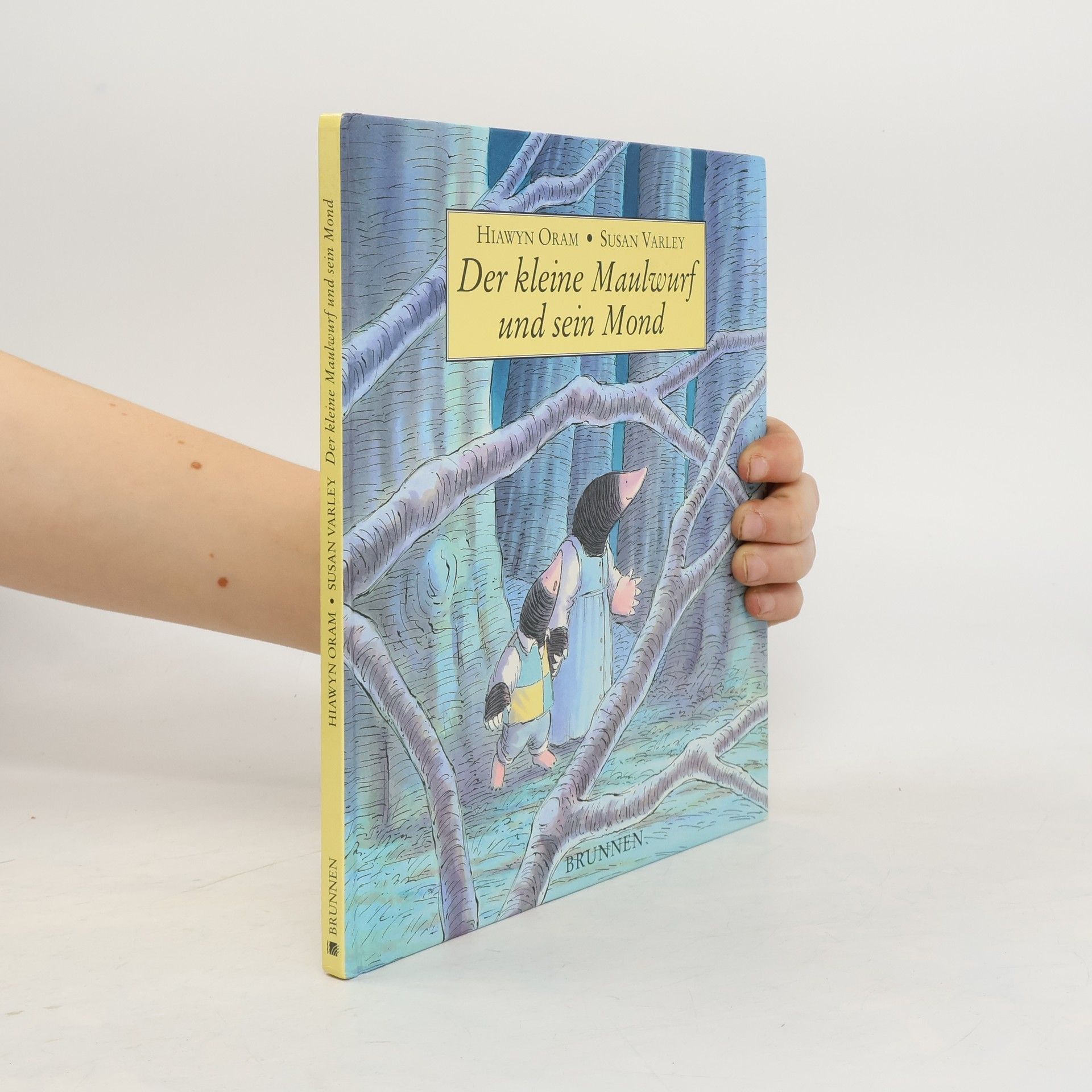 Hiawyn Oram Der kleine Maulwurf und sein Mond