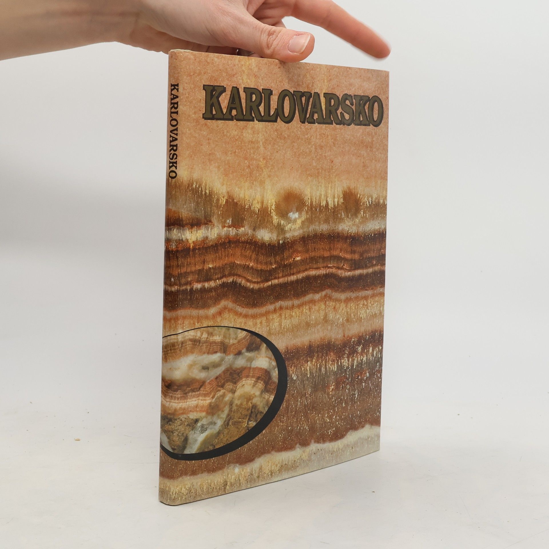 kolektiv Karlovarsko