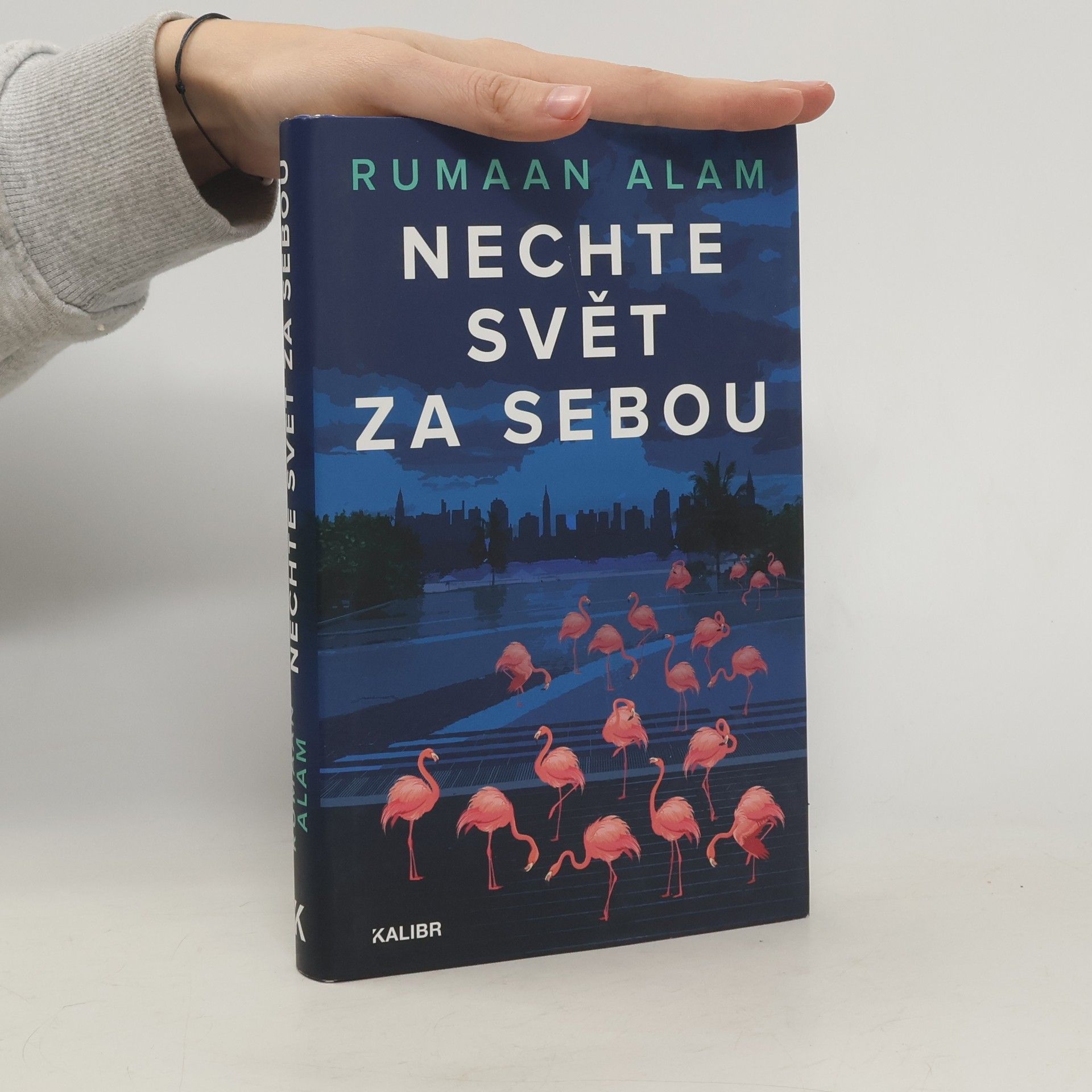 Rumaan Alam Nechte svět za sebou