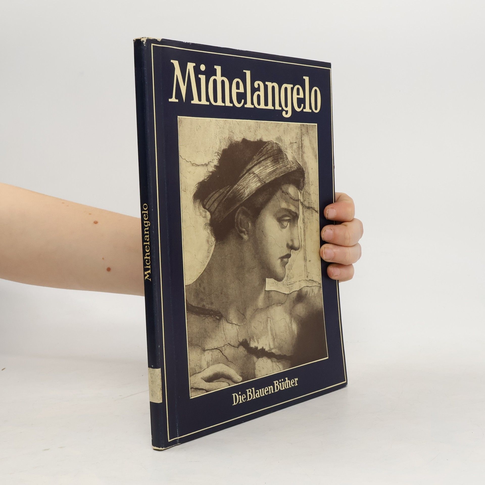 Michelangelo Die Blauen Bücher. Michelangelo