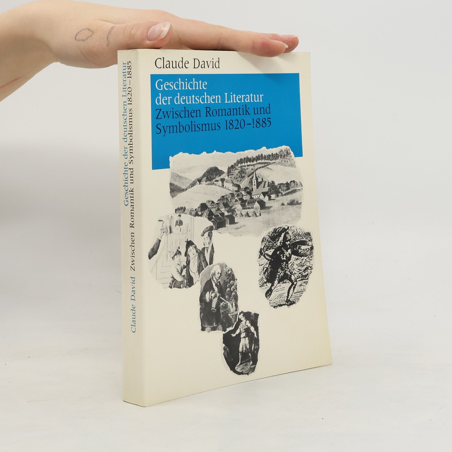 Claude David Geschichte der deutschen Literatur. Zwischen Romantik und Symbolismus 1820-1885