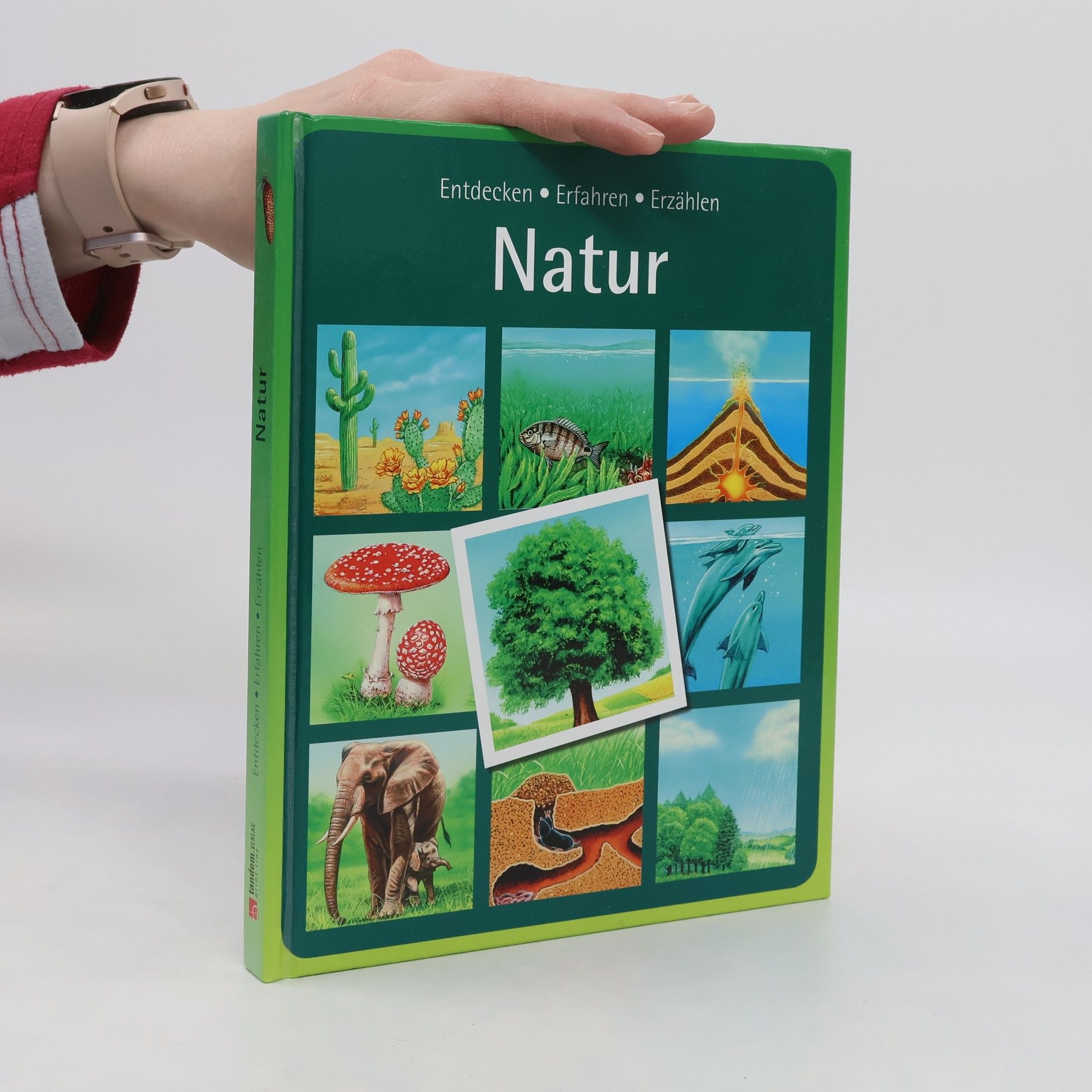 Autorenkollektiv Natur