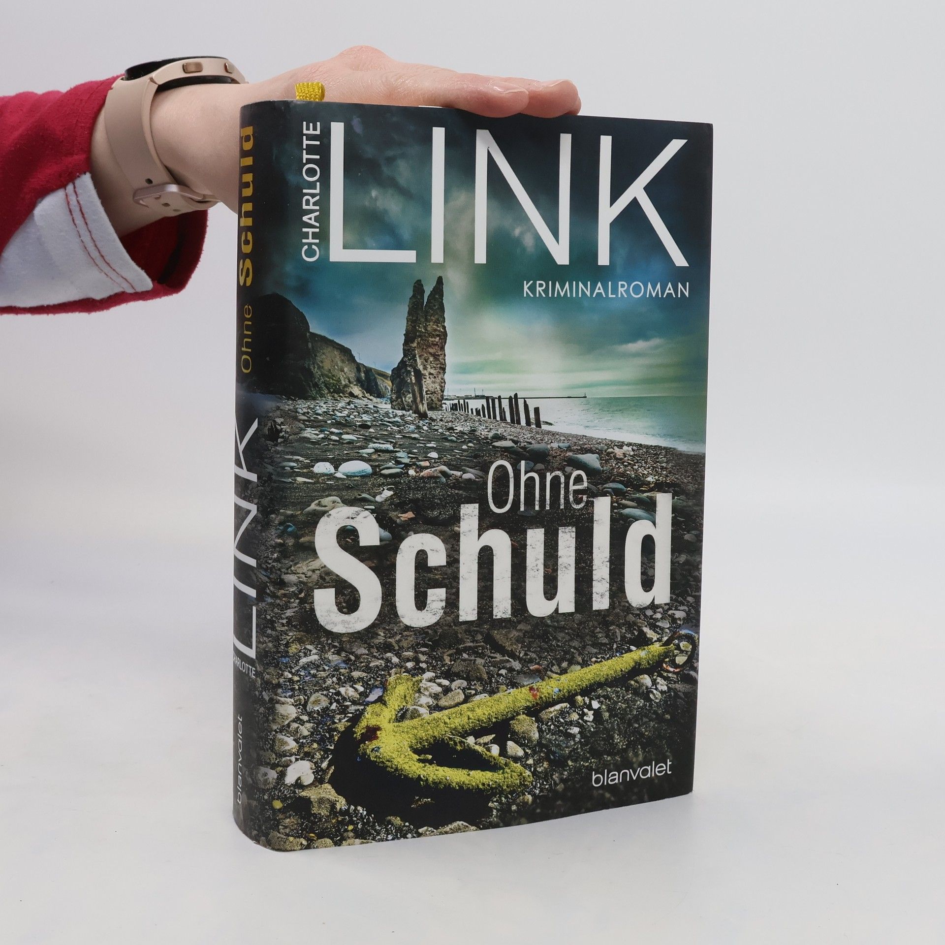 Charlotte Link Ohne Schuld