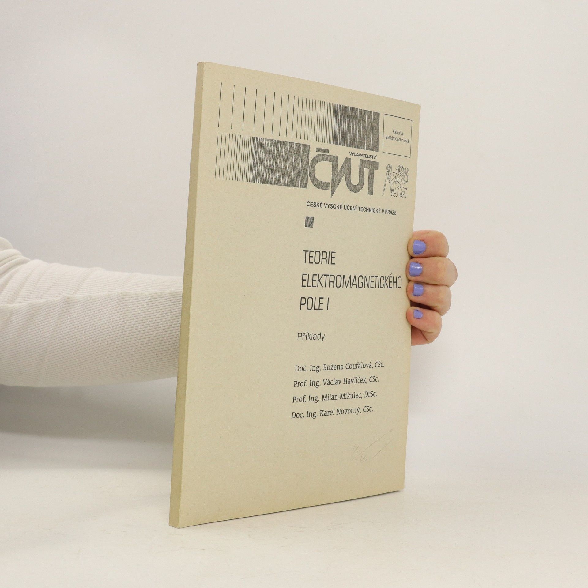 Collectif d'auteurs Teorie elektromagnetického pole I. Příklady