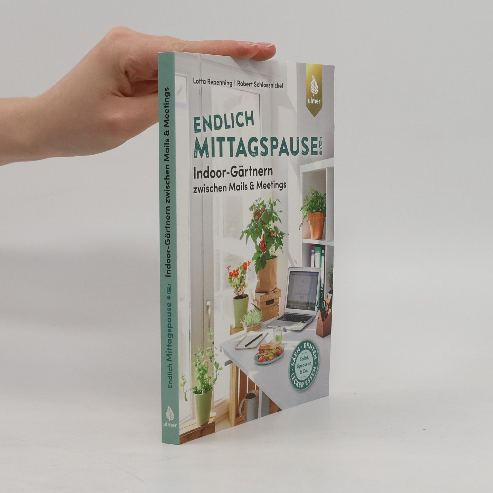 Lotta Repenning Endlich Mittagspause! Indoor-Gärtnern zwischen Mails und Meetings mit Pflücksalat, Sprossen & Co.