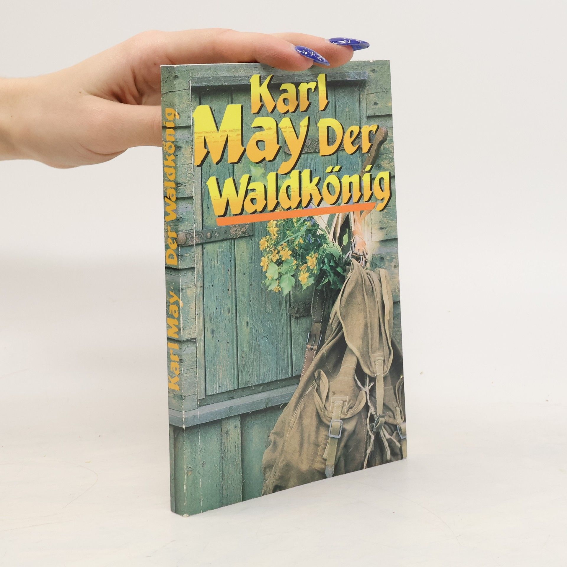 Karl May Der Waldkönig