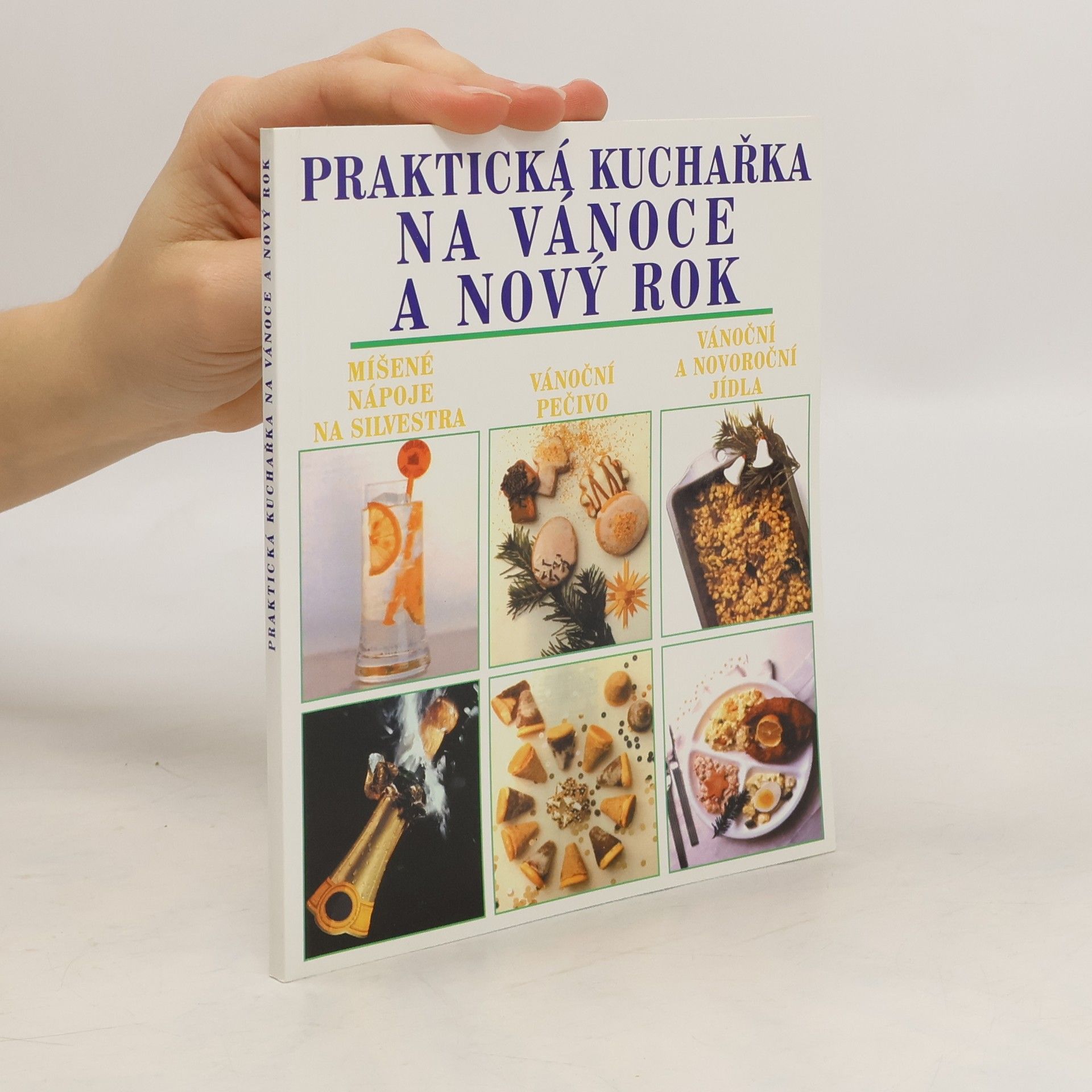 Jana Frolíková Praktická kuchařka na Vánoce a nový rok