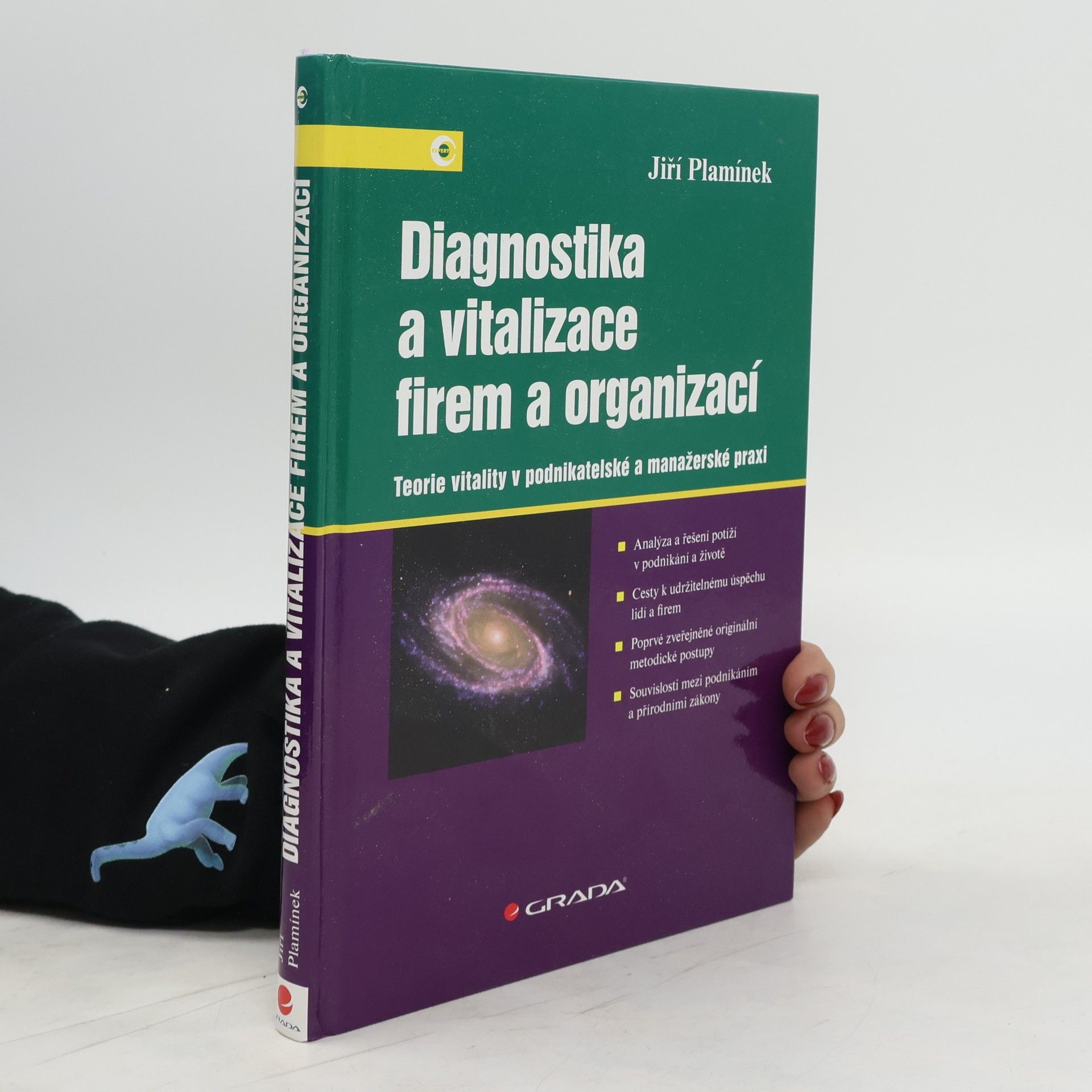 Jiří Plamínek Diagnostika a vitalizace firem a organizací