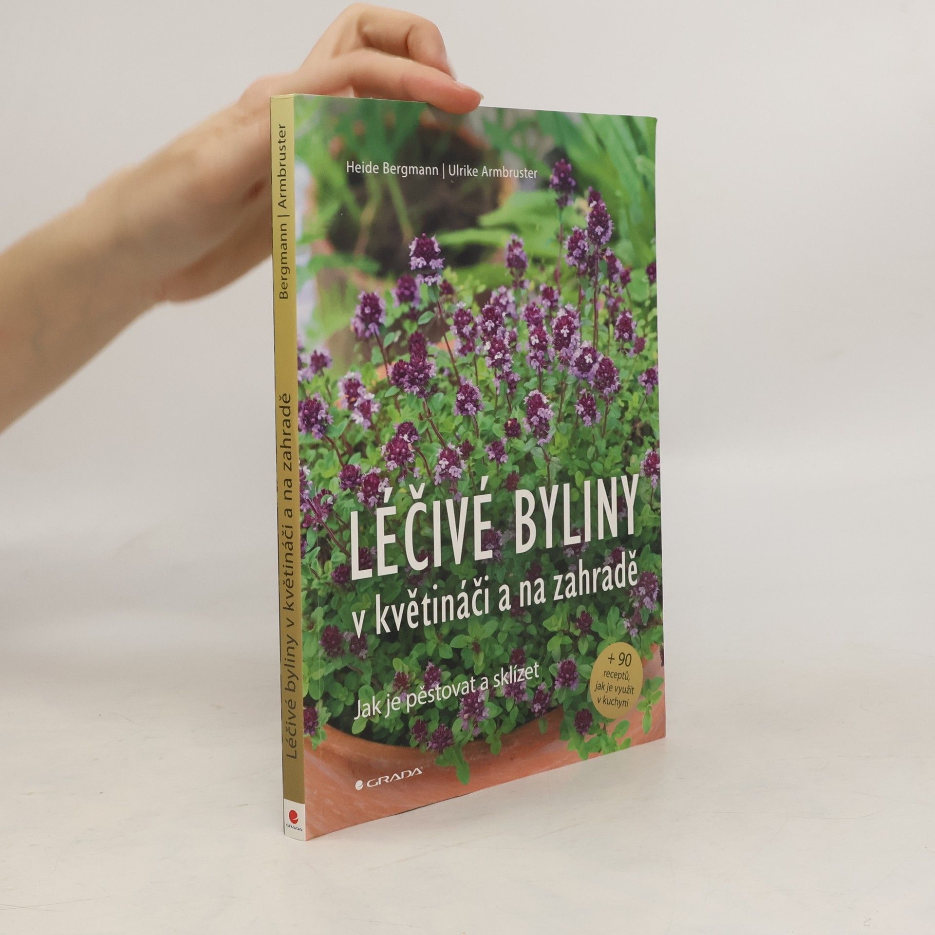 Heide Bergmann Léčivé byliny v květináči a na zahradě