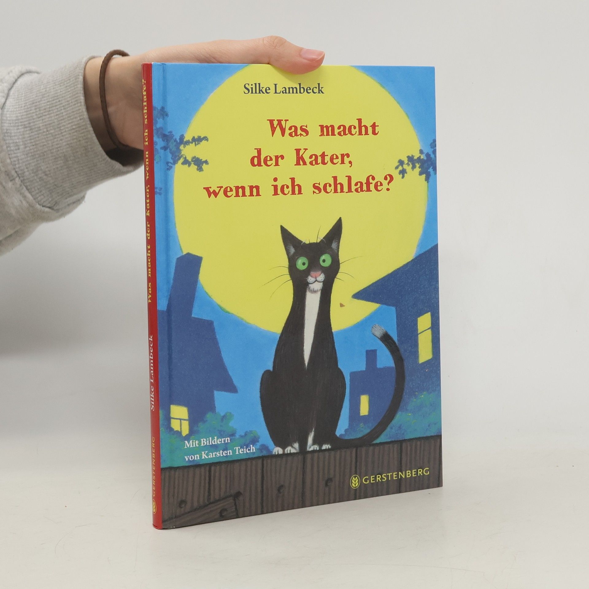 Silke Lambeck Was macht der Kater, wenn ich schlafe?