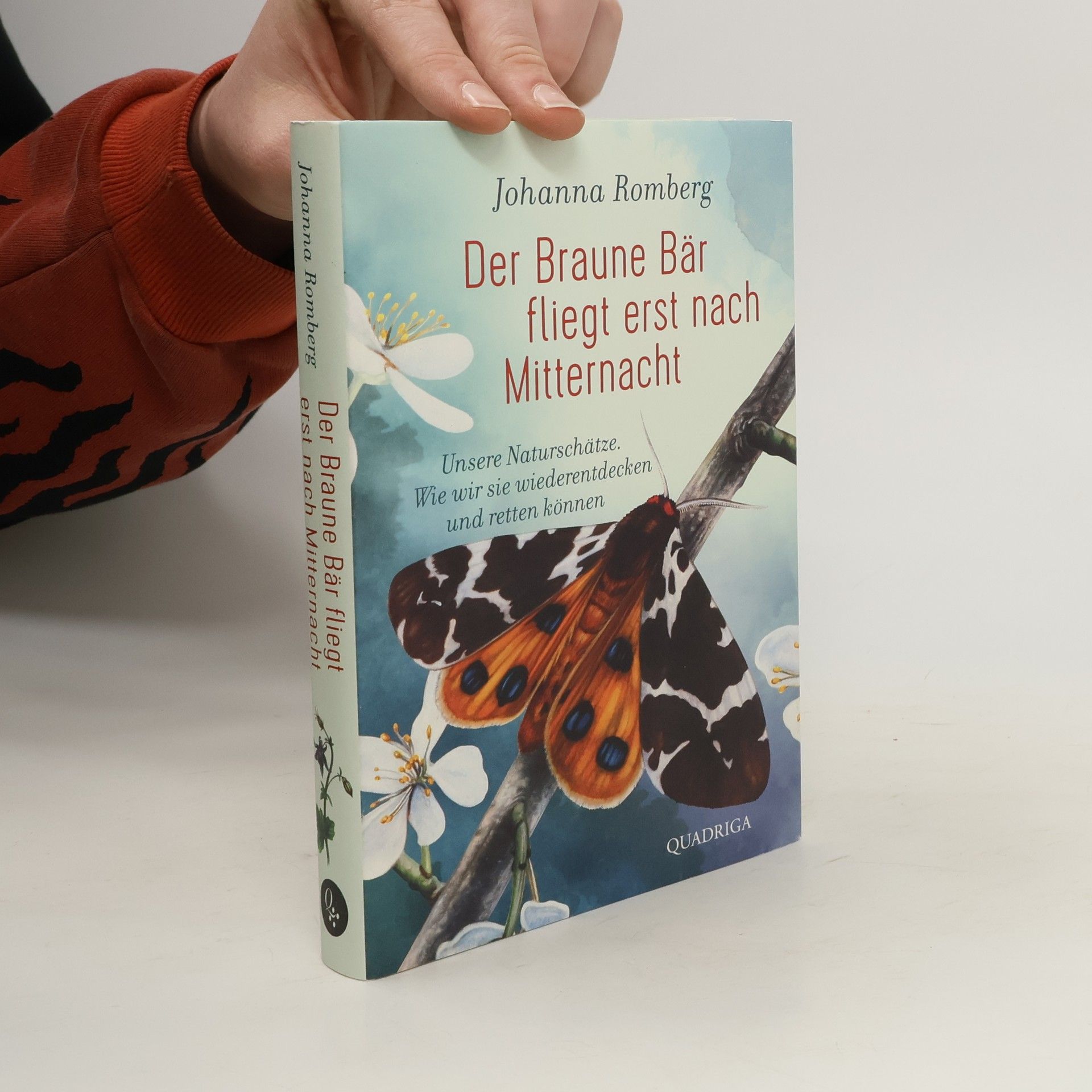 Johanna Romberg Der Braune Bär fliegt erst nach Mitternacht