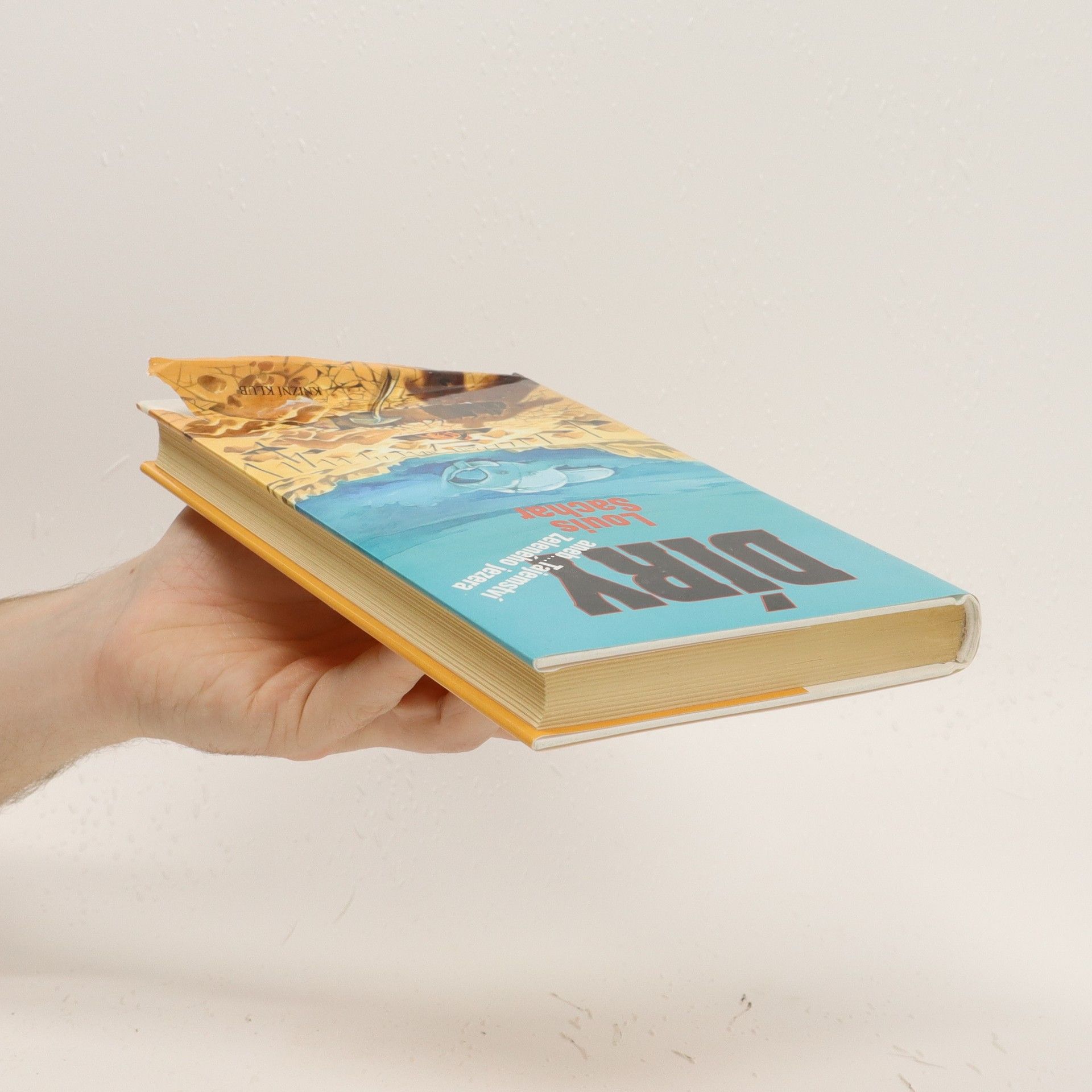 Louis Sachar Díry, aneb, Tajemství Zeleného jezera