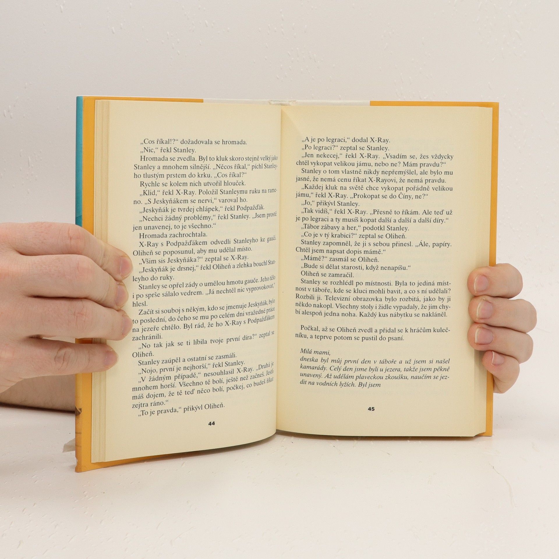 Louis Sachar Díry, aneb, Tajemství Zeleného jezera