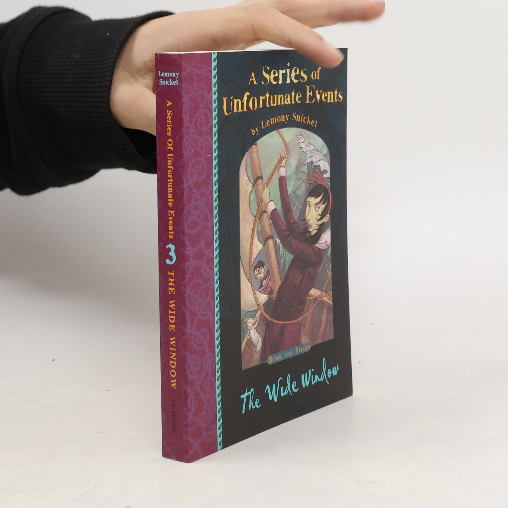 Lemony Snicket A series of unfortunate events. The wide window. Book the third