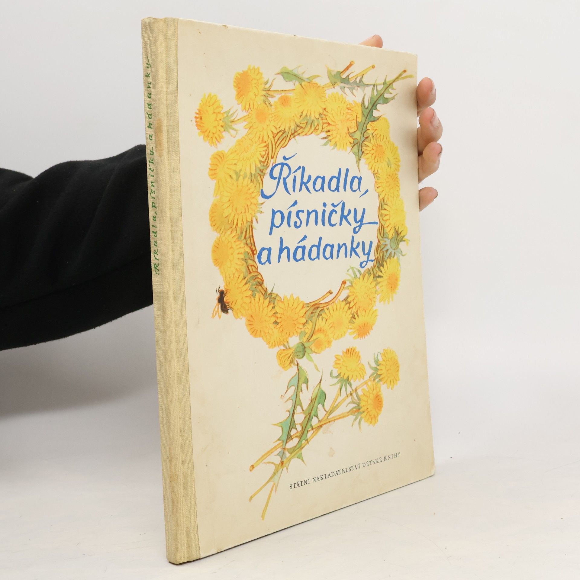 Autorenkollektiv Říkadla, písničky a hádanky