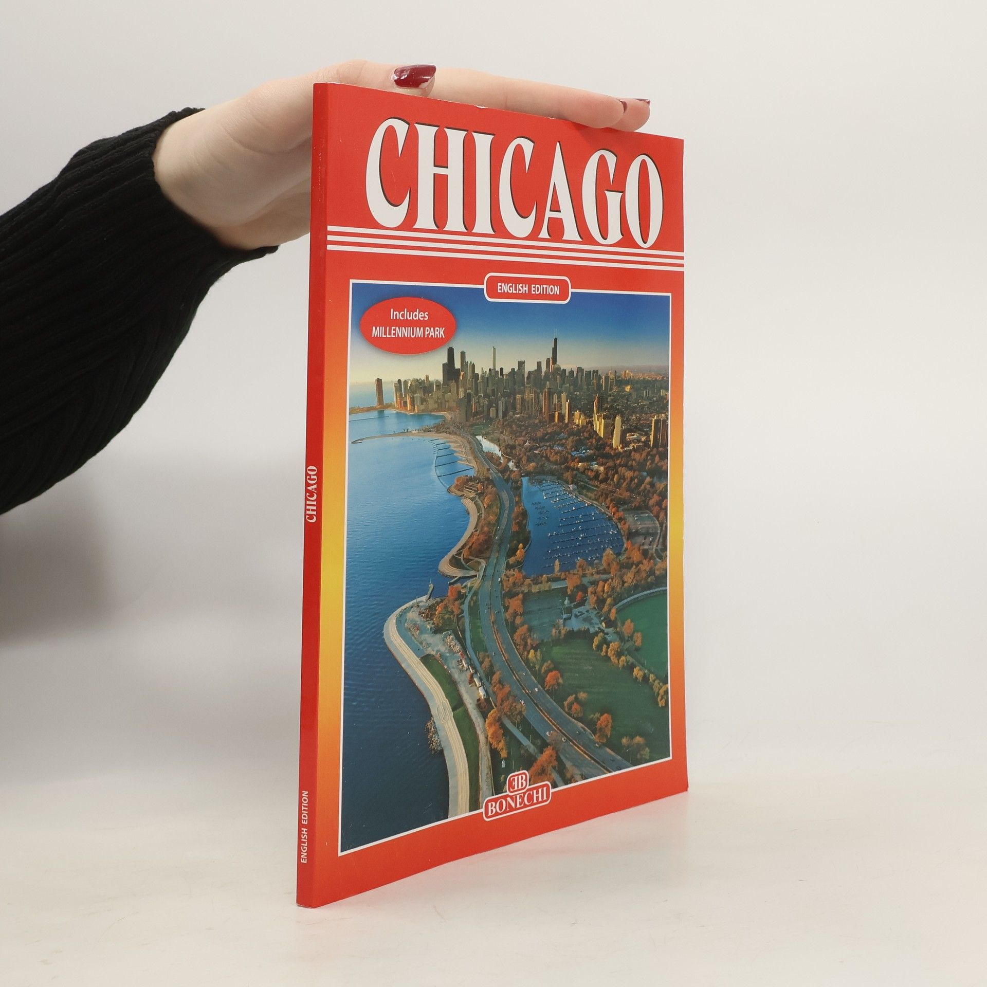 David C. Stockwell Chicago. Ediz. Inglese